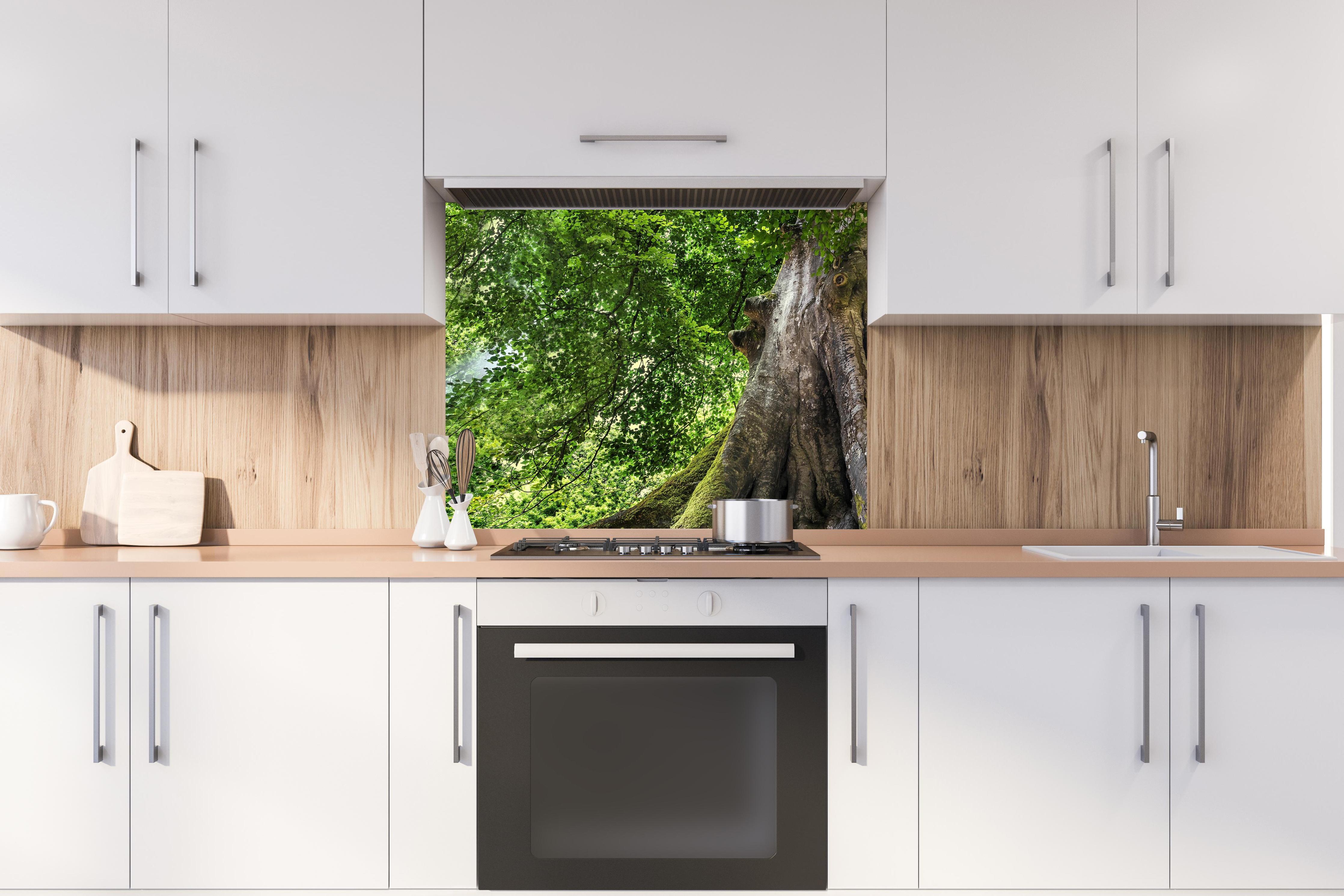 Spritzschutz - großer alter Baum in Froschperspektive hinter stilvollem Gasherd unter Dunstabzugshaube