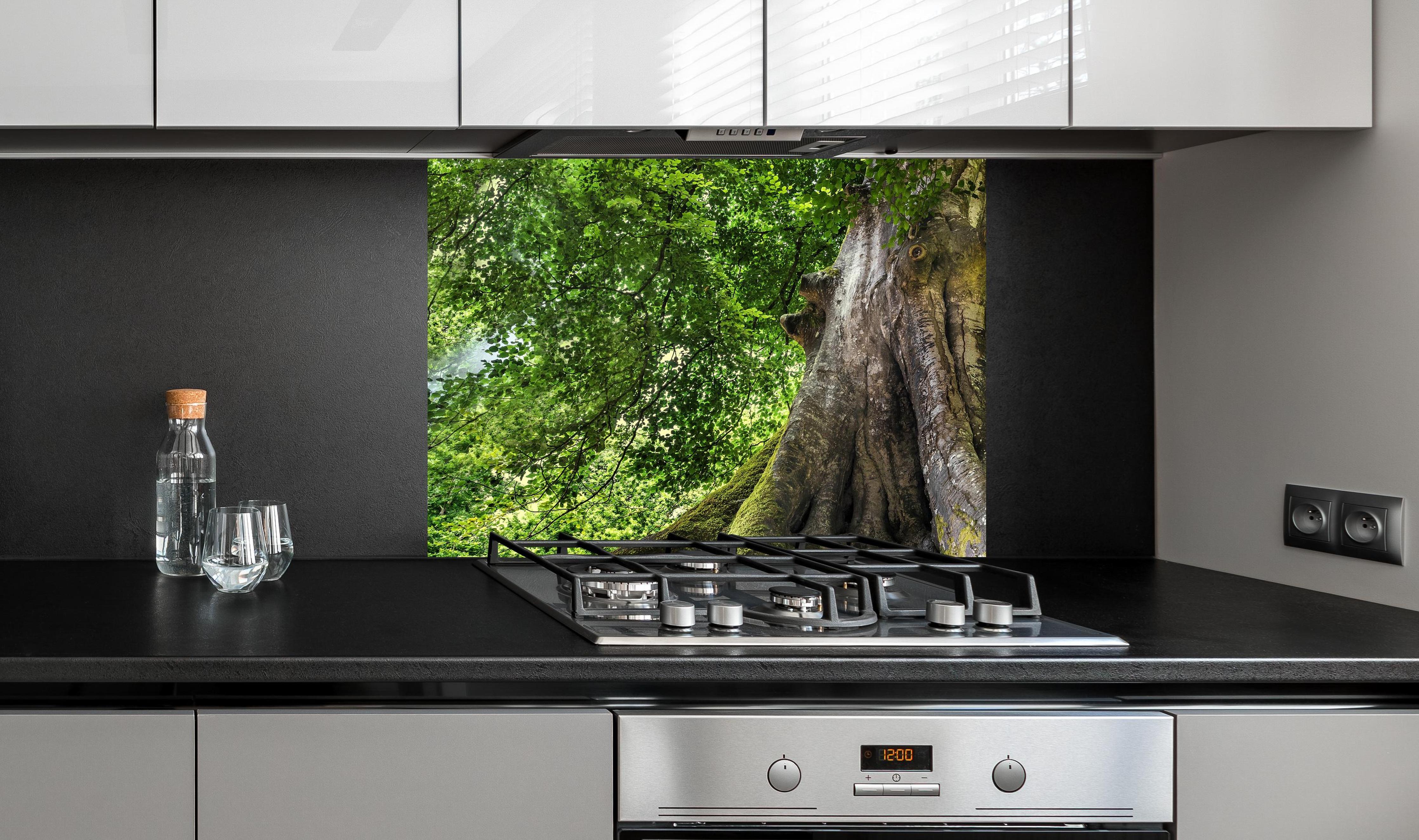 Spritzschutz - großer alter Baum in Froschperspektive an edler Anthrazit-Wand hinter silbernem Gasherd