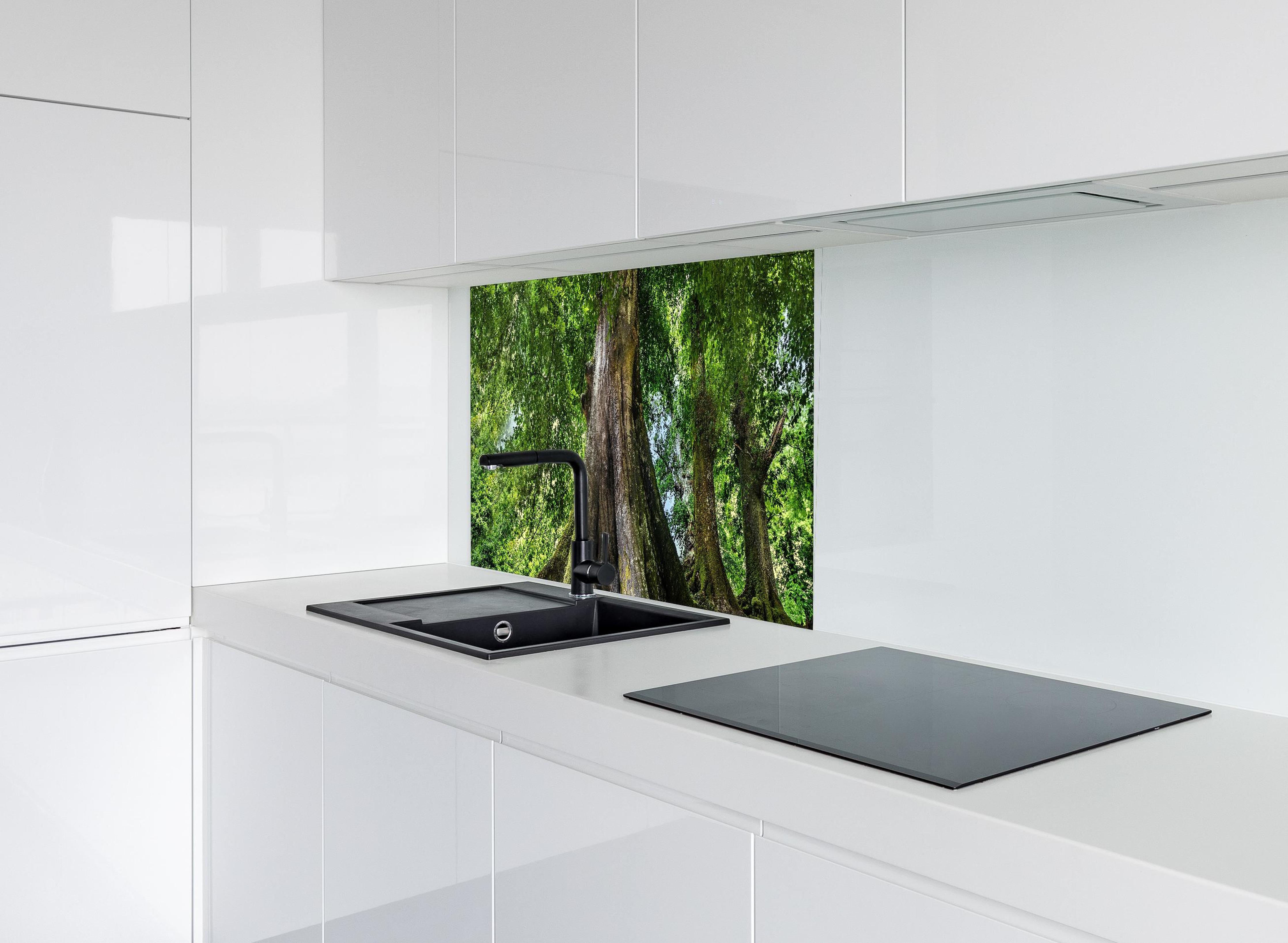 Spritzschutz - großer alter Baum in Froschperspektive hinter modernem schwarz-matten Spülbecken in weißer Hochglanz-Küche
