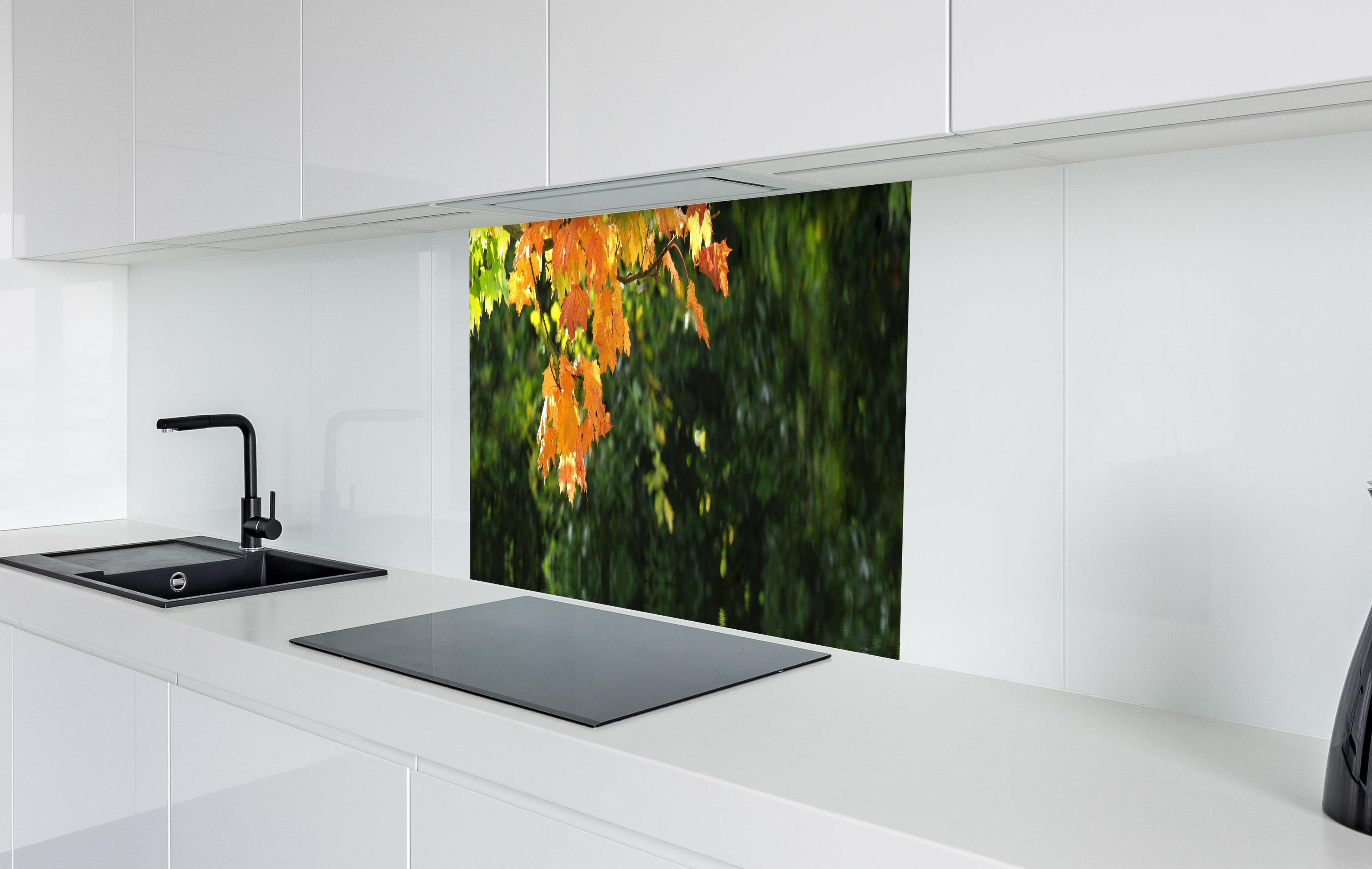 Spritzschutz - kraftvolle Steine im Teich in weißer Hochglanz-Küche hinter einem Cerankochfeld