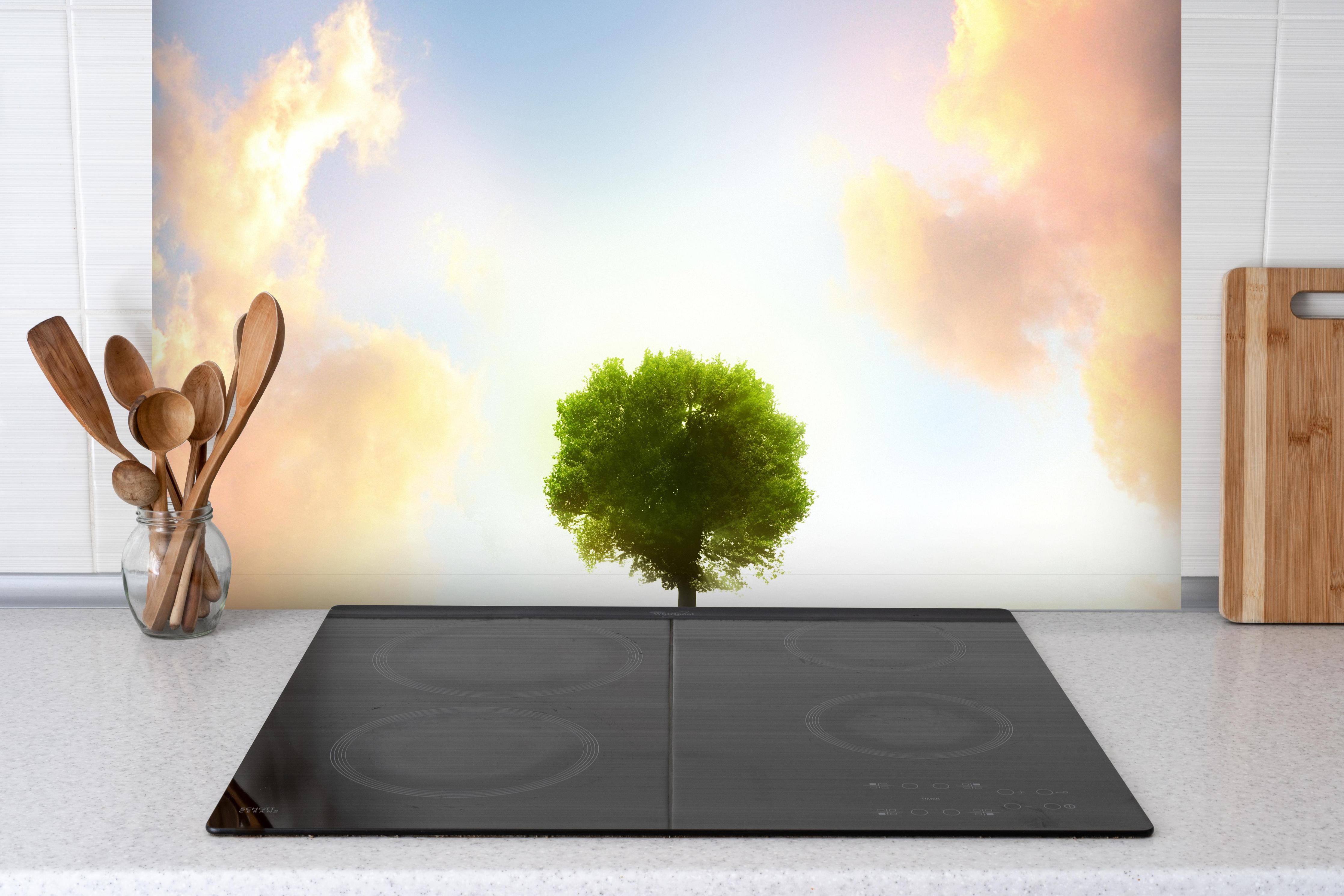 Spritzschutz - kraftvoller Baum mitten im See hinter einem Cerankochfeld zwischen Holz-Kochutensilien