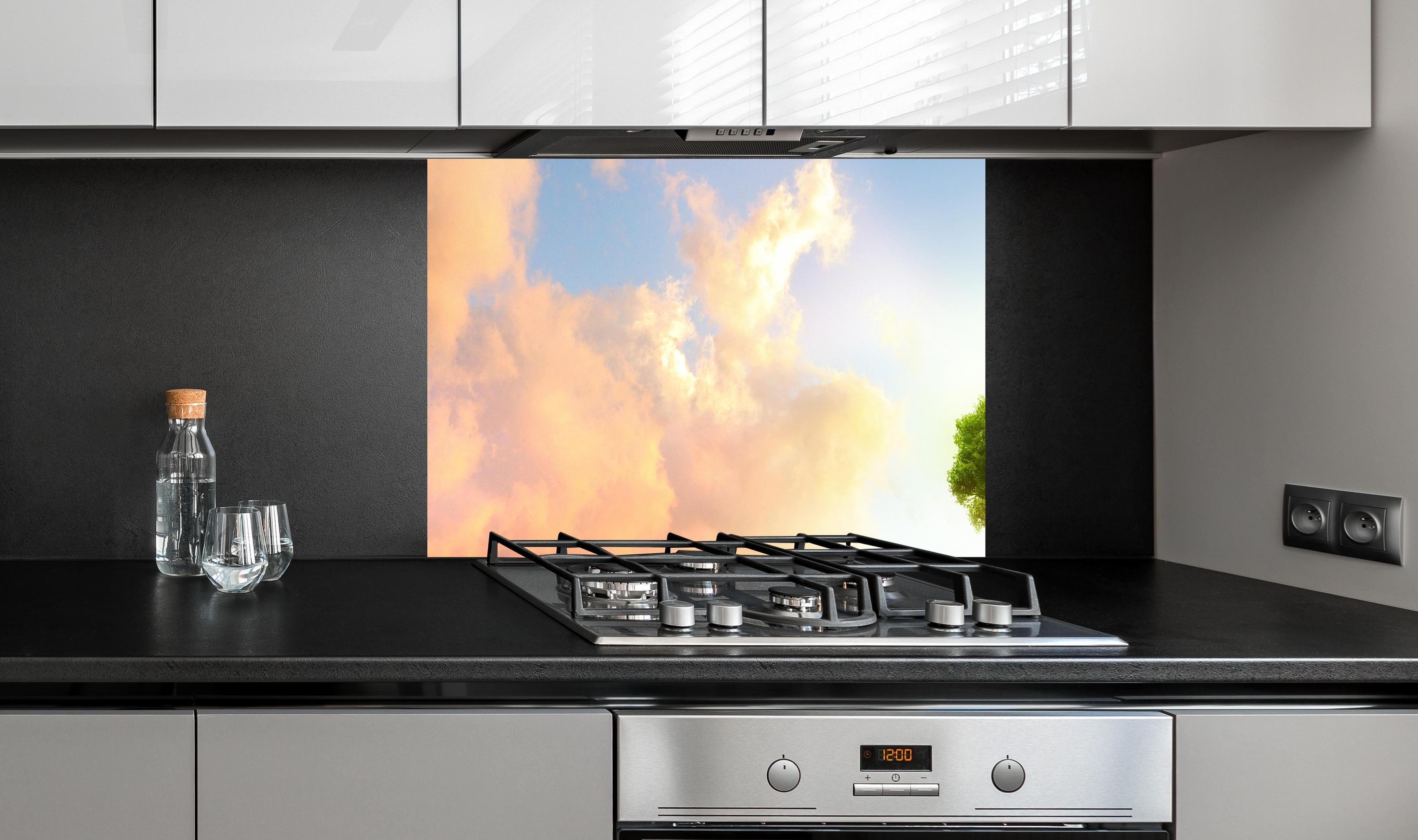 Spritzschutz - kraftvoller Baum mitten im See an edler Anthrazit-Wand hinter silbernem Gasherd