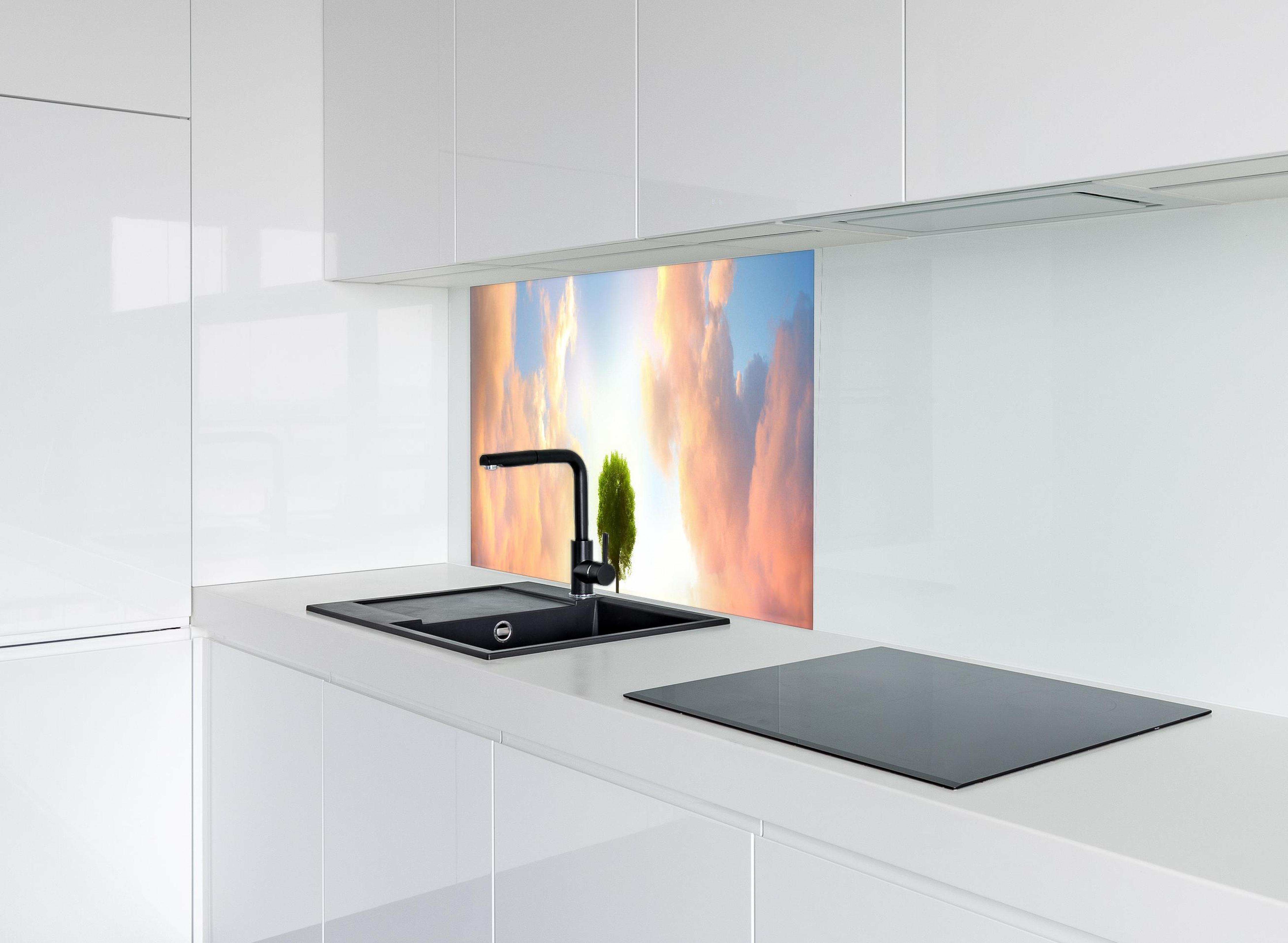 Spritzschutz - kraftvoller Baum mitten im See hinter modernem schwarz-matten Spülbecken in weißer Hochglanz-Küche