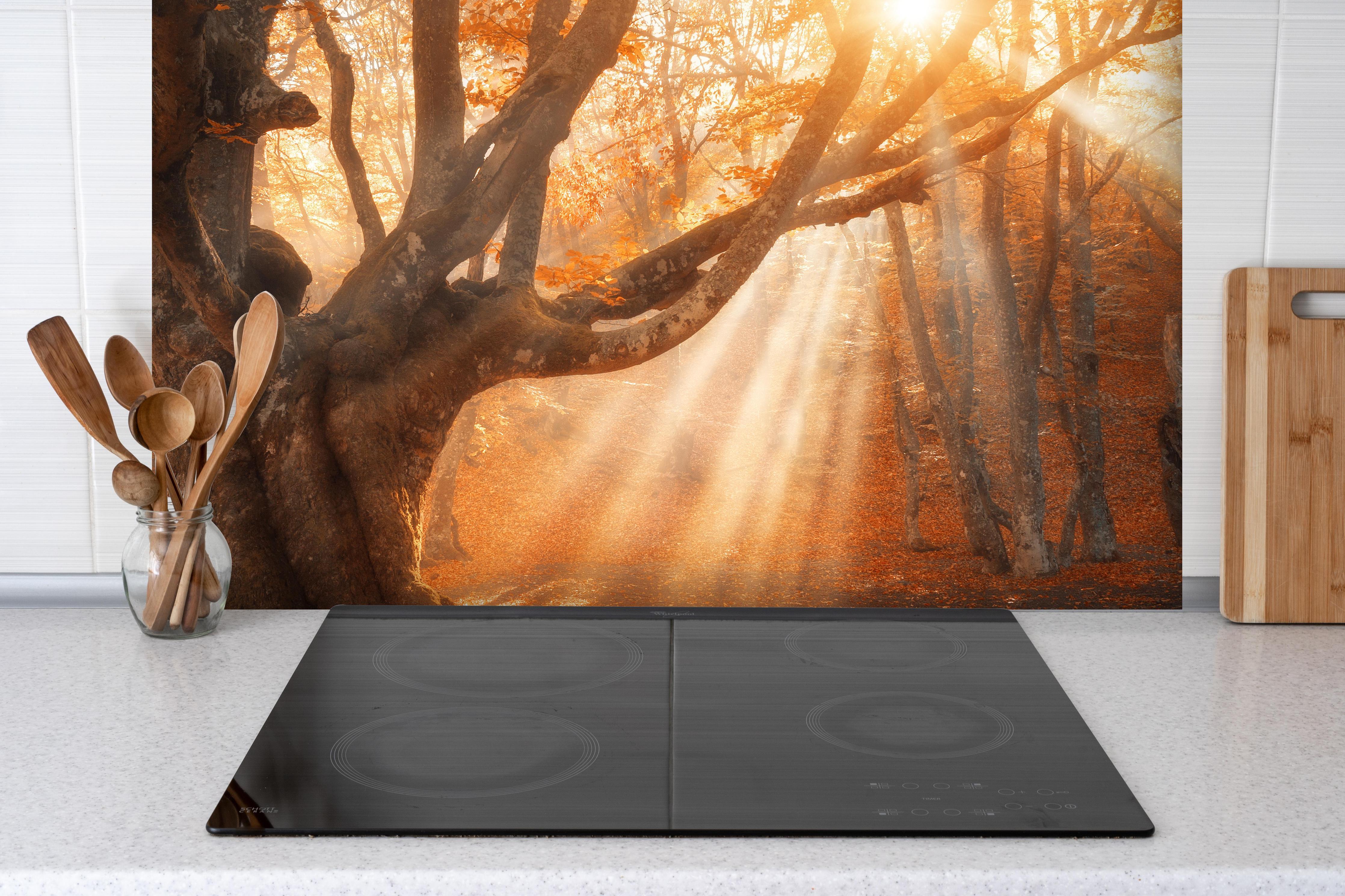 Spritzschutz - magischer alter Baum im Herbst hinter einem Cerankochfeld zwischen Holz-Kochutensilien