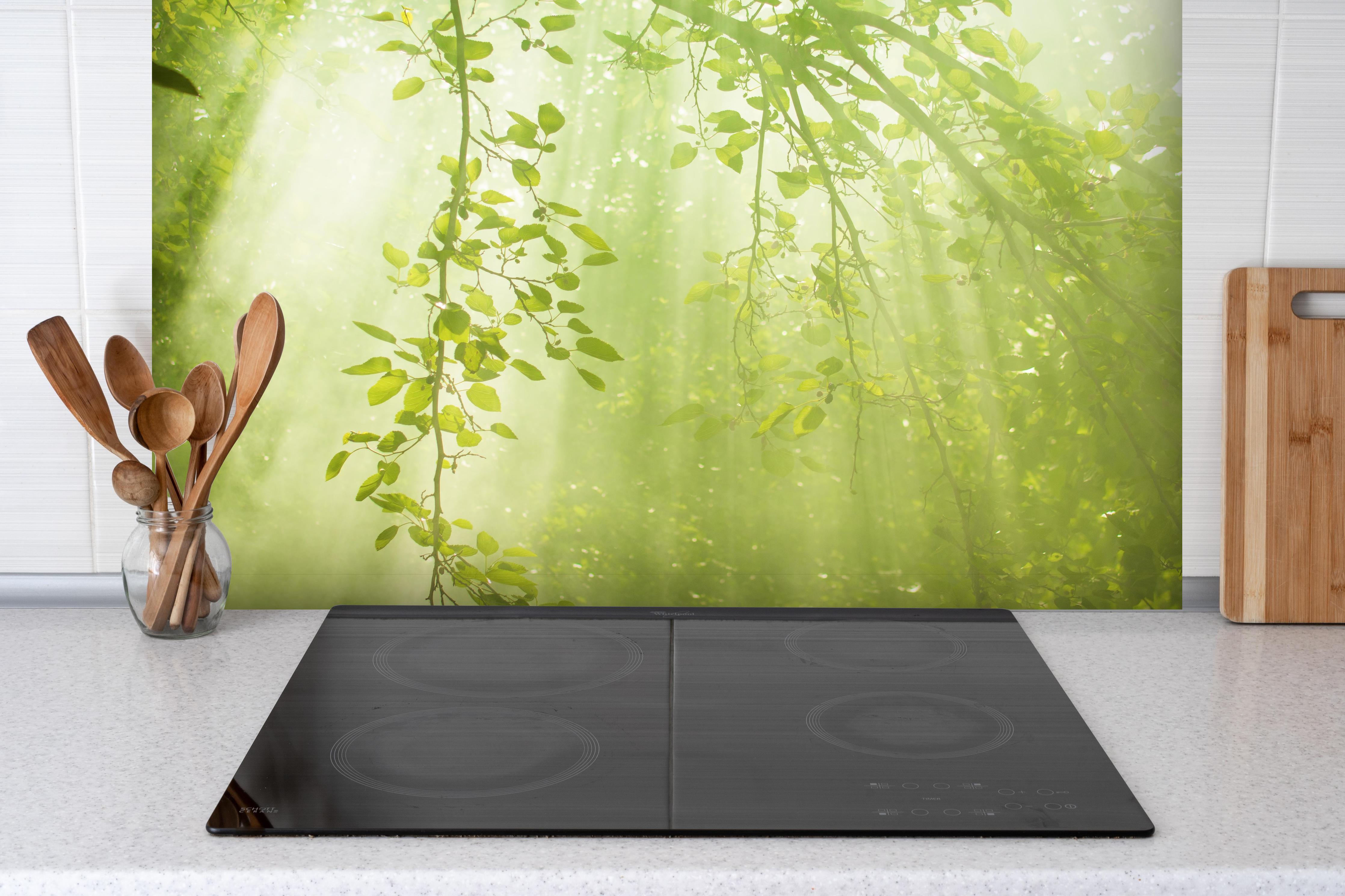 Spritzschutz - mystischer Grüner Wald mit Sonnenstrahl hinter einem Cerankochfeld zwischen Holz-Kochutensilien