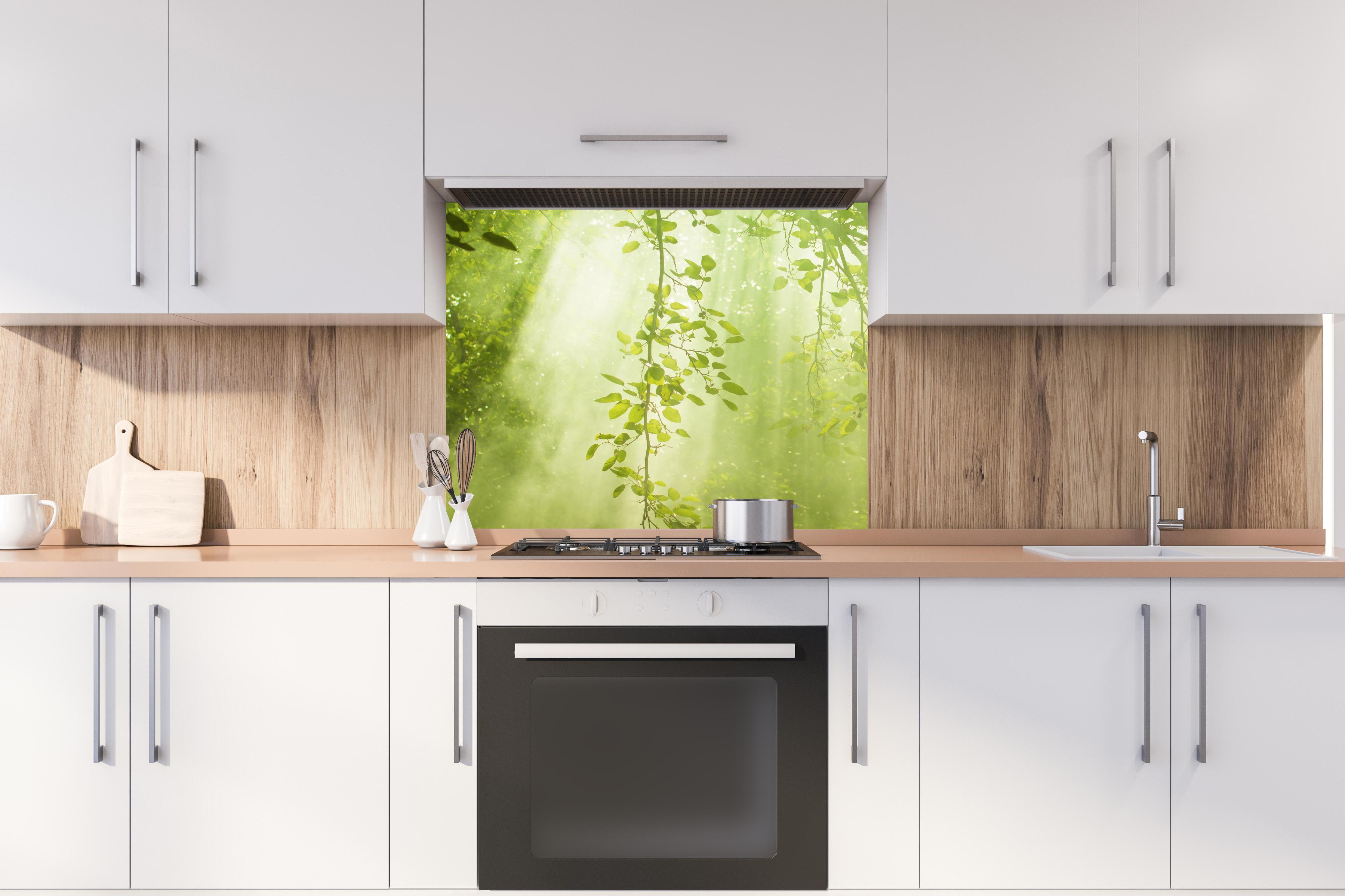 Spritzschutz - mystischer Grüner Wald mit Sonnenstrahl hinter stilvollem Gasherd unter Dunstabzugshaube