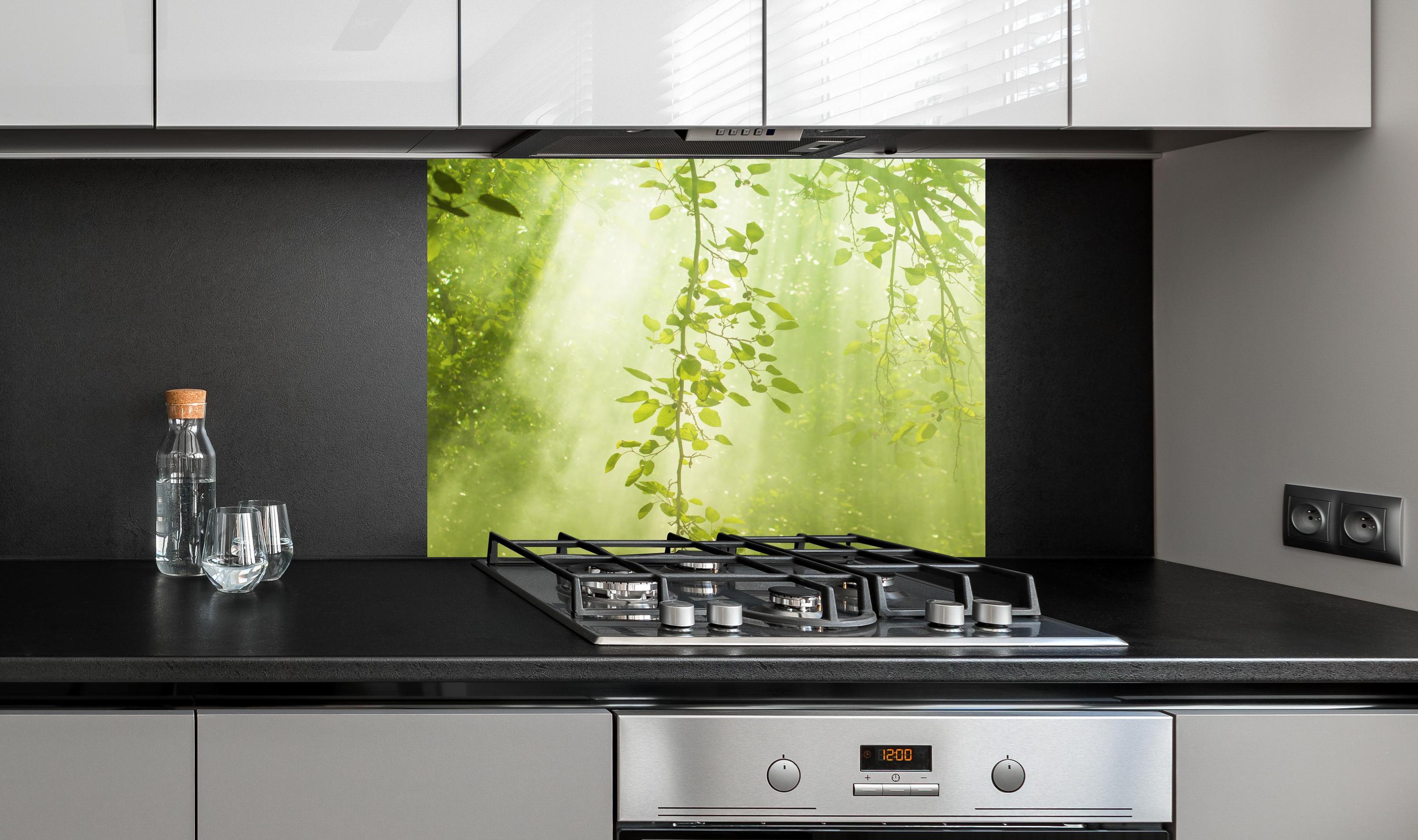 Spritzschutz - mystischer Grüner Wald mit Sonnenstrahl an edler Anthrazit-Wand hinter silbernem Gasherd