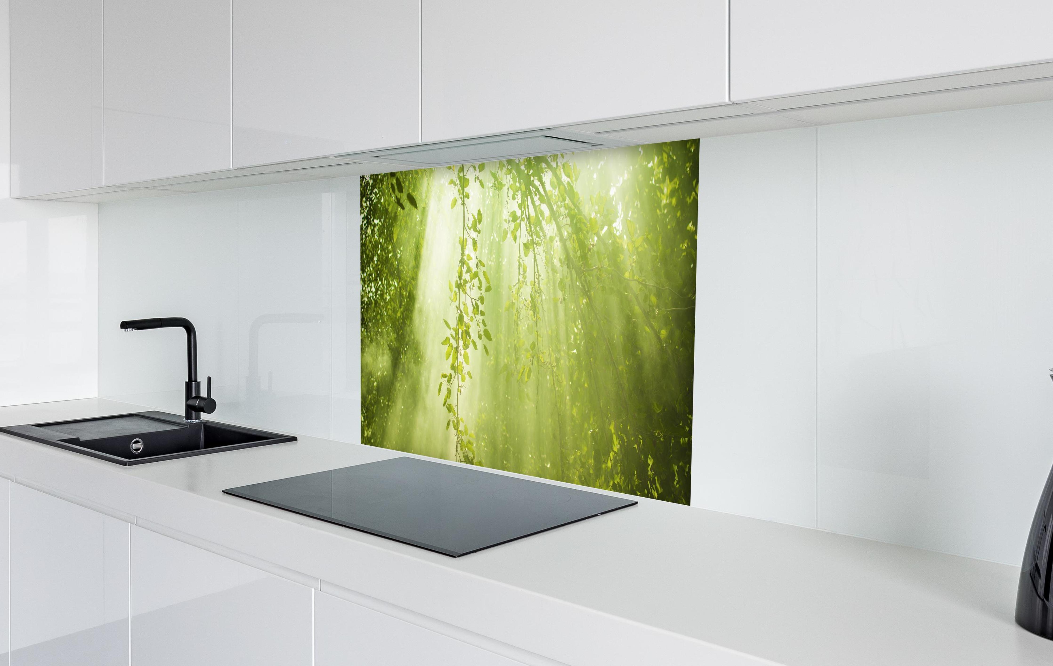 Spritzschutz - mystischer Grüner Wald mit Sonnenstrahl in weißer Hochglanz-Küche hinter einem Cerankochfeld