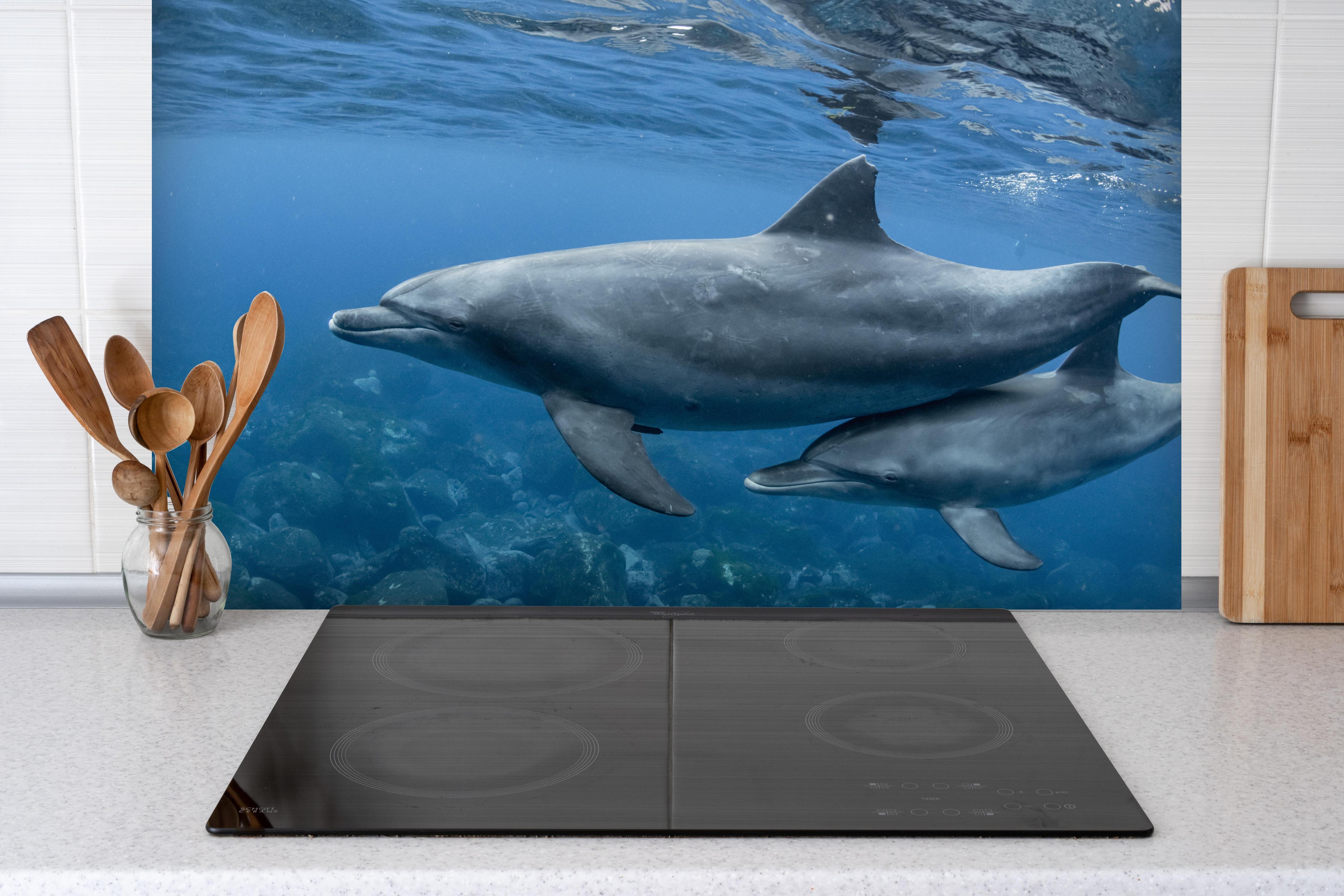 Spritzschutz - niedliche Delfin-Familie hinter einem Cerankochfeld zwischen Holz-Kochutensilien