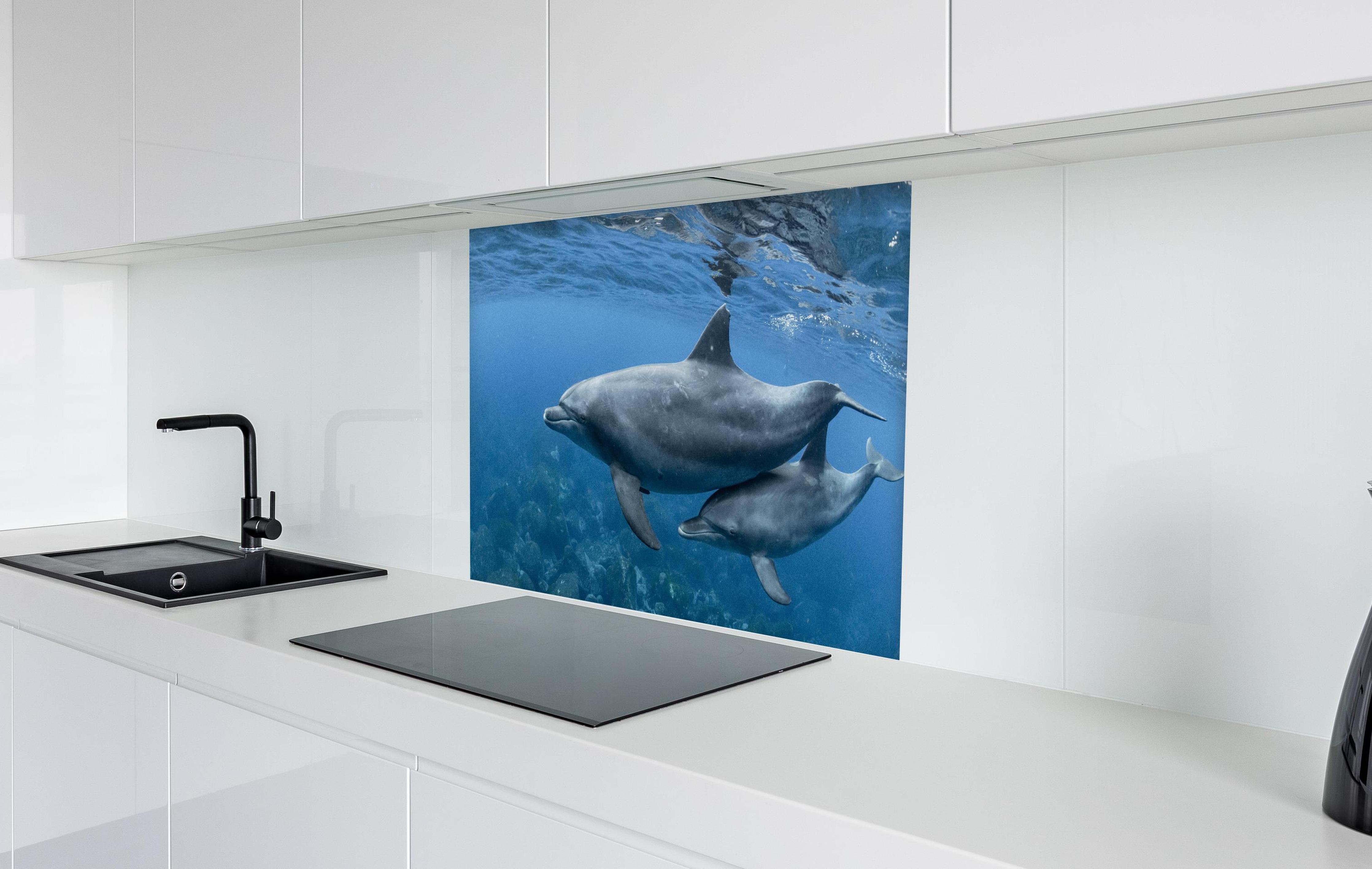 Spritzschutz - niedliche Delfin-Familie in weißer Hochglanz-Küche hinter einem Cerankochfeld