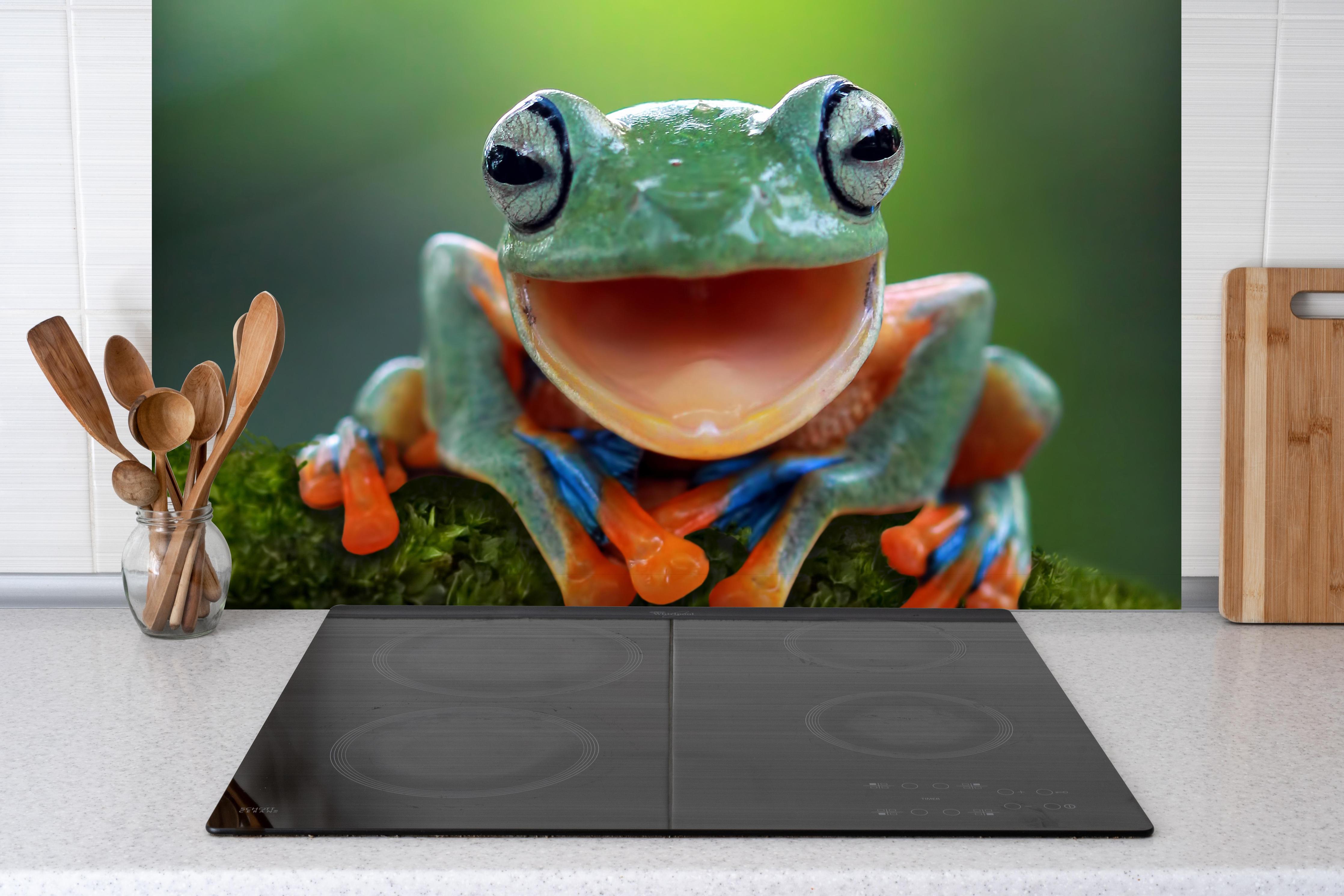 Spritzschutz - niedlicher Laubfrosch in Nahaufnahme hinter einem Cerankochfeld zwischen Holz-Kochutensilien