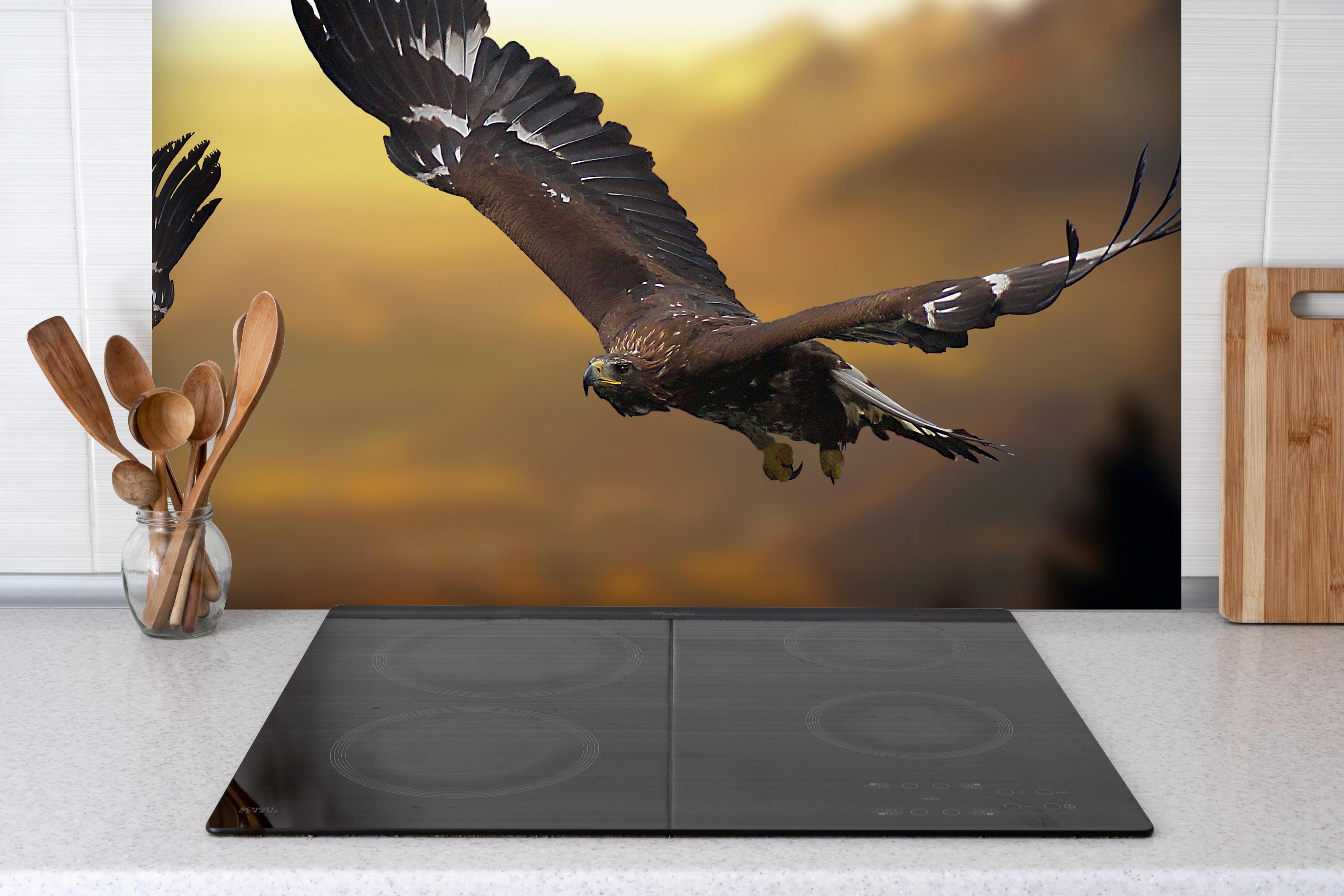 Spritzschutz - prachtvolle Steinadler im Flug hinter einem Cerankochfeld zwischen Holz-Kochutensilien