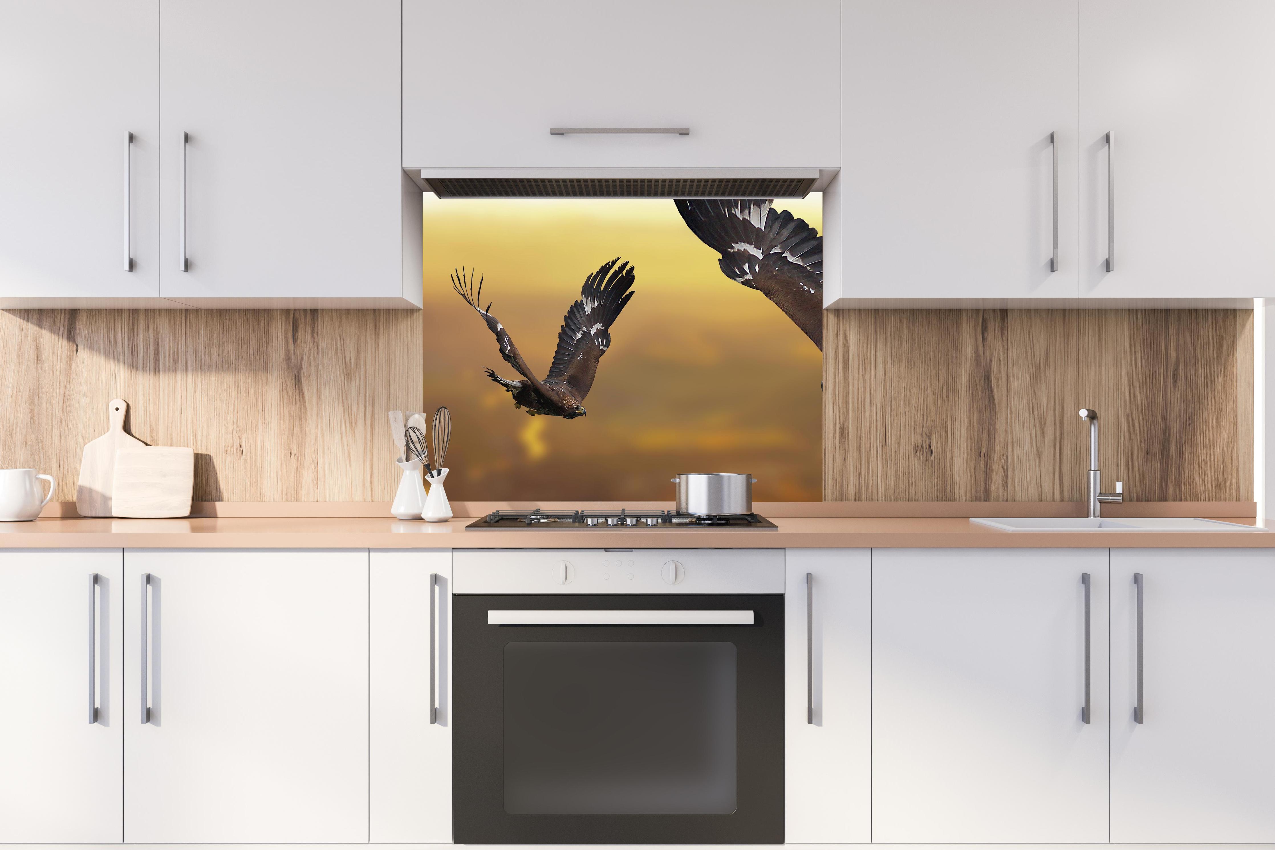Spritzschutz - prachtvolle Steinadler im Flug hinter stilvollem Gasherd unter Dunstabzugshaube