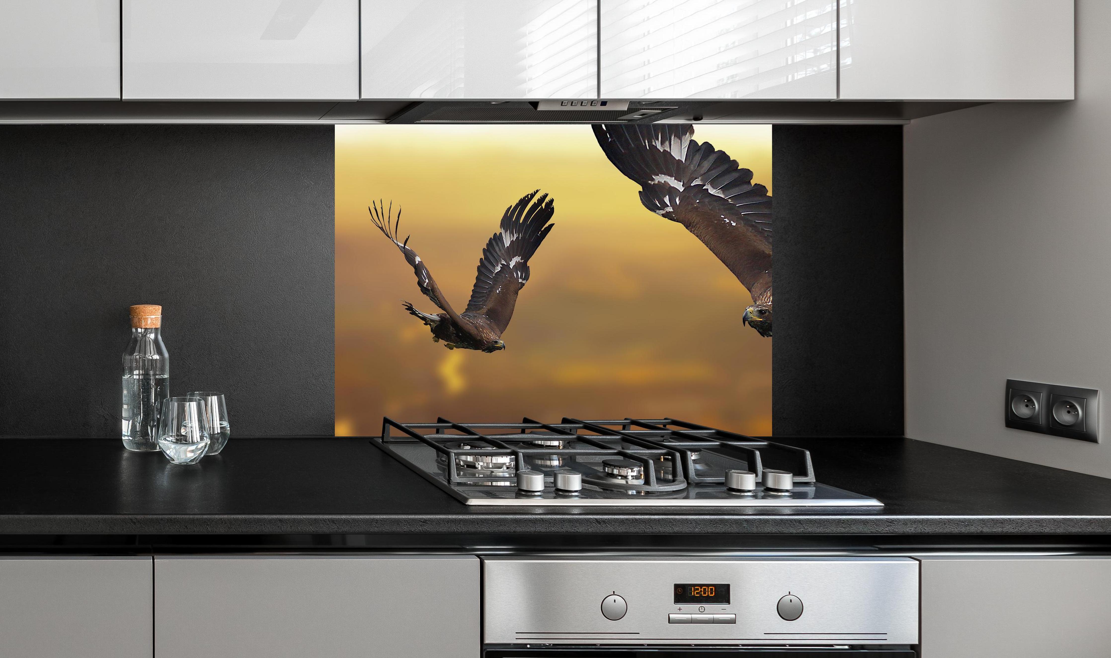 Spritzschutz - prachtvolle Steinadler im Flug an edler Anthrazit-Wand hinter silbernem Gasherd