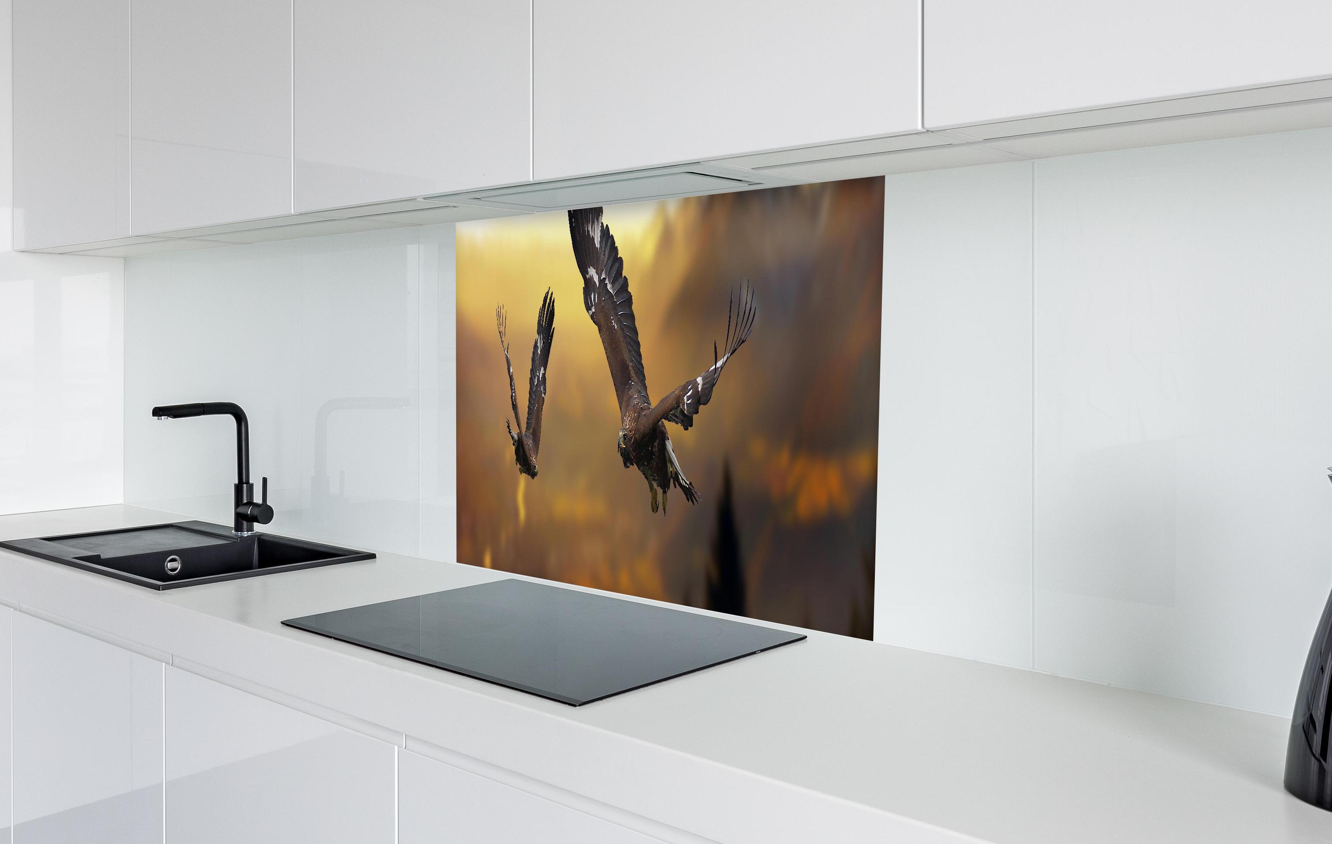 Spritzschutz - prachtvolle Steinadler im Flug in weißer Hochglanz-Küche hinter einem Cerankochfeld