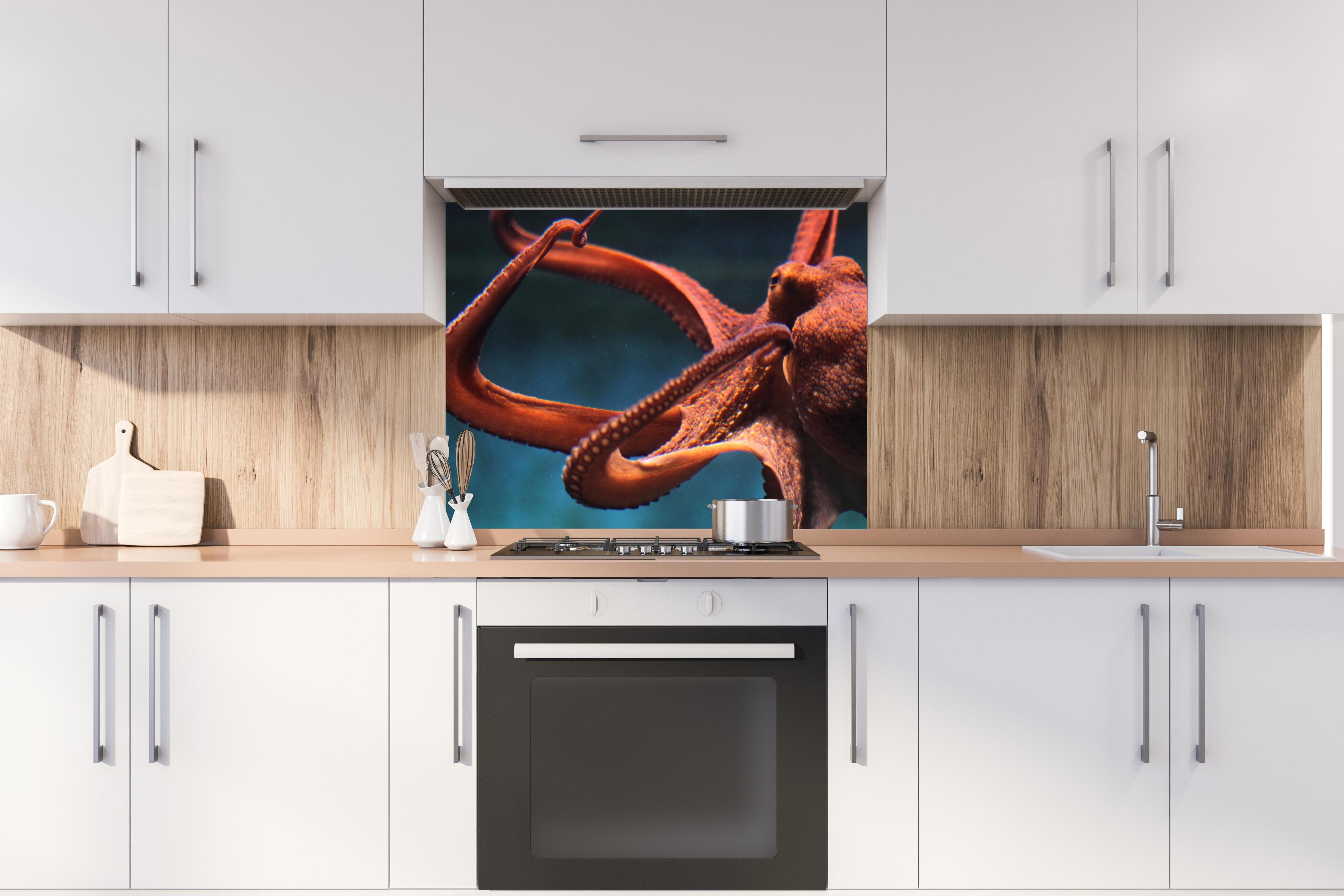 Spritzschutz - rötlicher Oktopus Unterwasser hinter stilvollem Gasherd unter Dunstabzugshaube