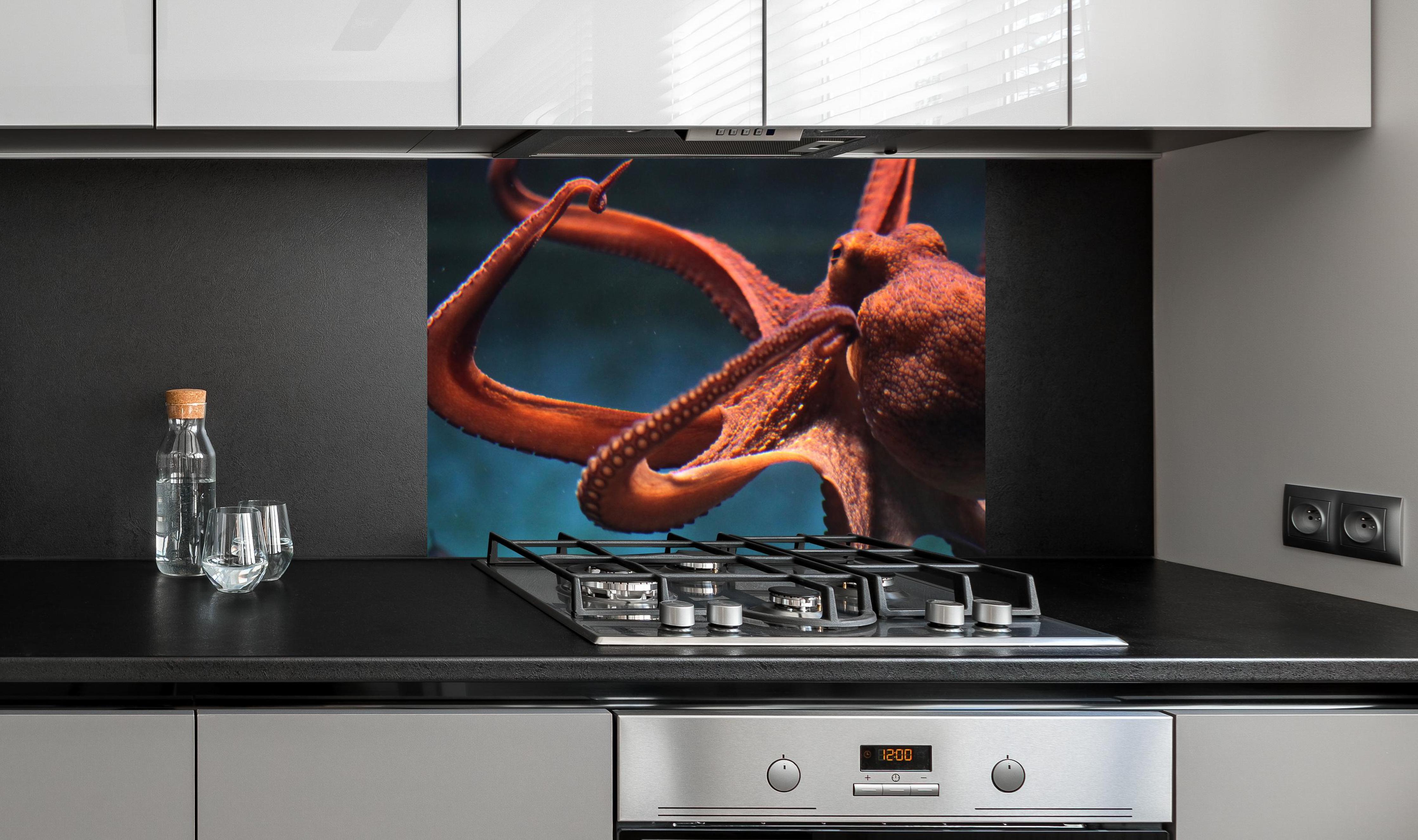 Spritzschutz - rötlicher Oktopus Unterwasser an edler Anthrazit-Wand hinter silbernem Gasherd