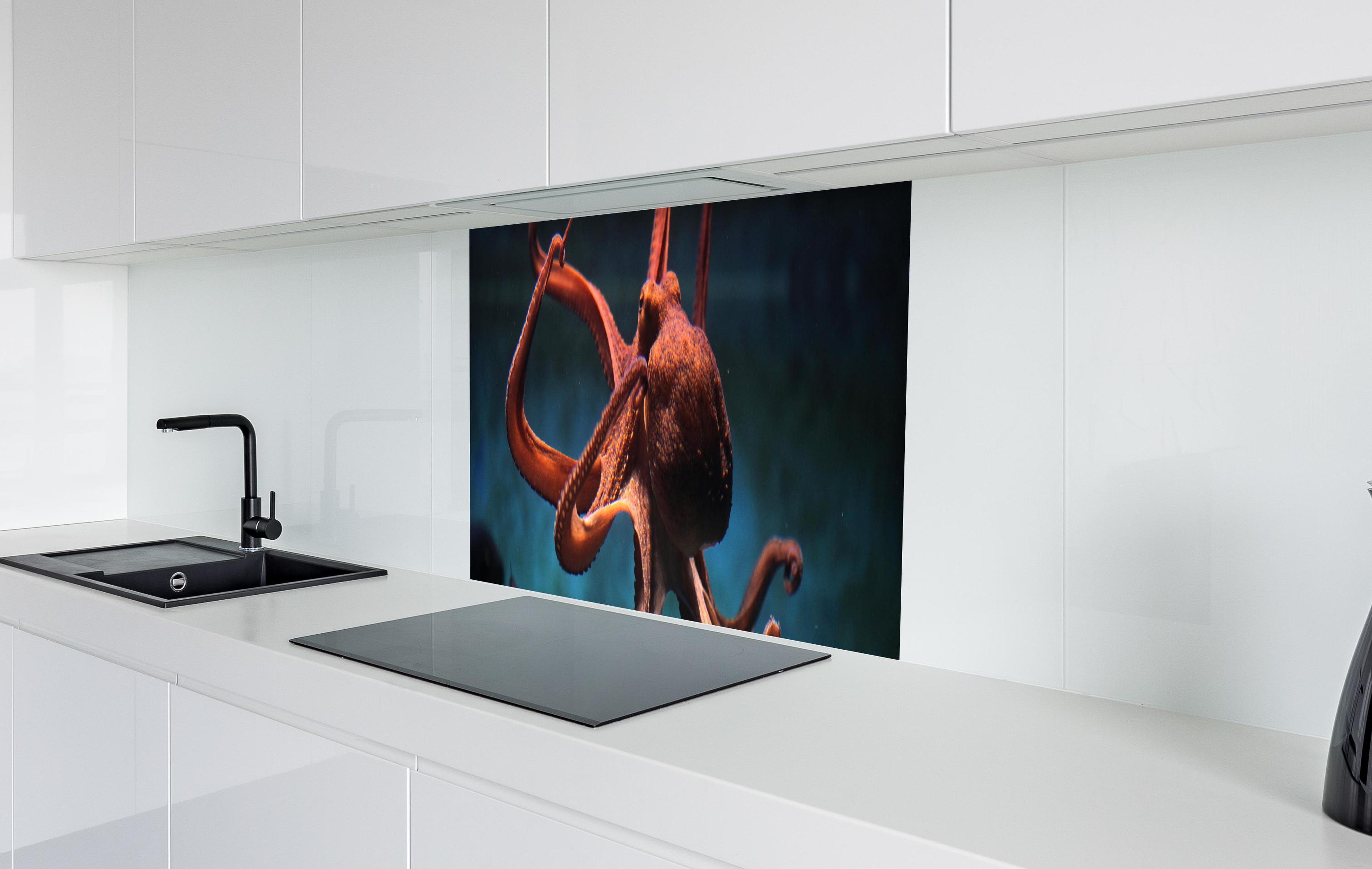 Spritzschutz - rötlicher Oktopus Unterwasser in weißer Hochglanz-Küche hinter einem Cerankochfeld