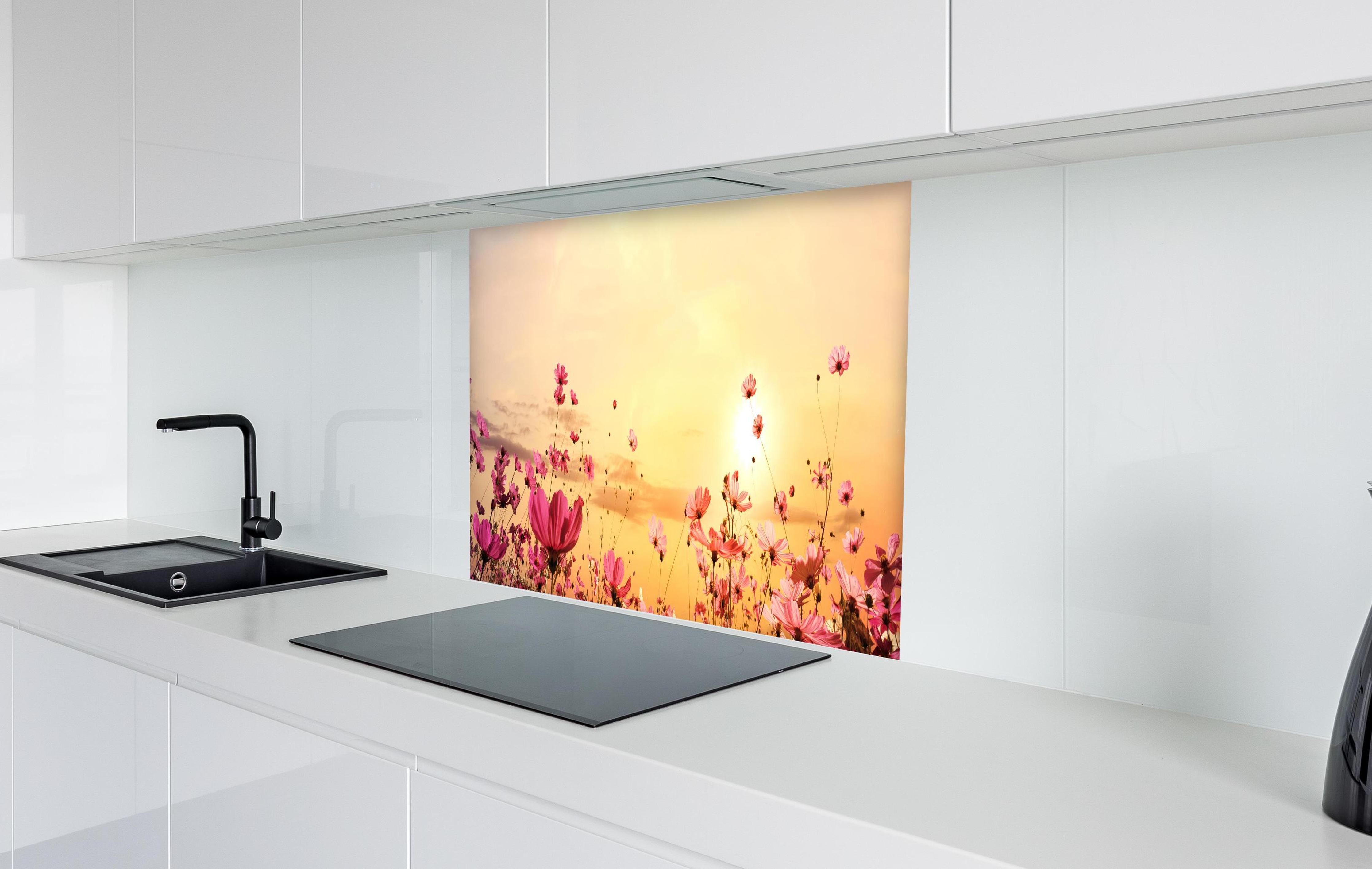 Spritzschutz - rosa Kosmosblumenfeld in weißer Hochglanz-Küche hinter einem Cerankochfeld