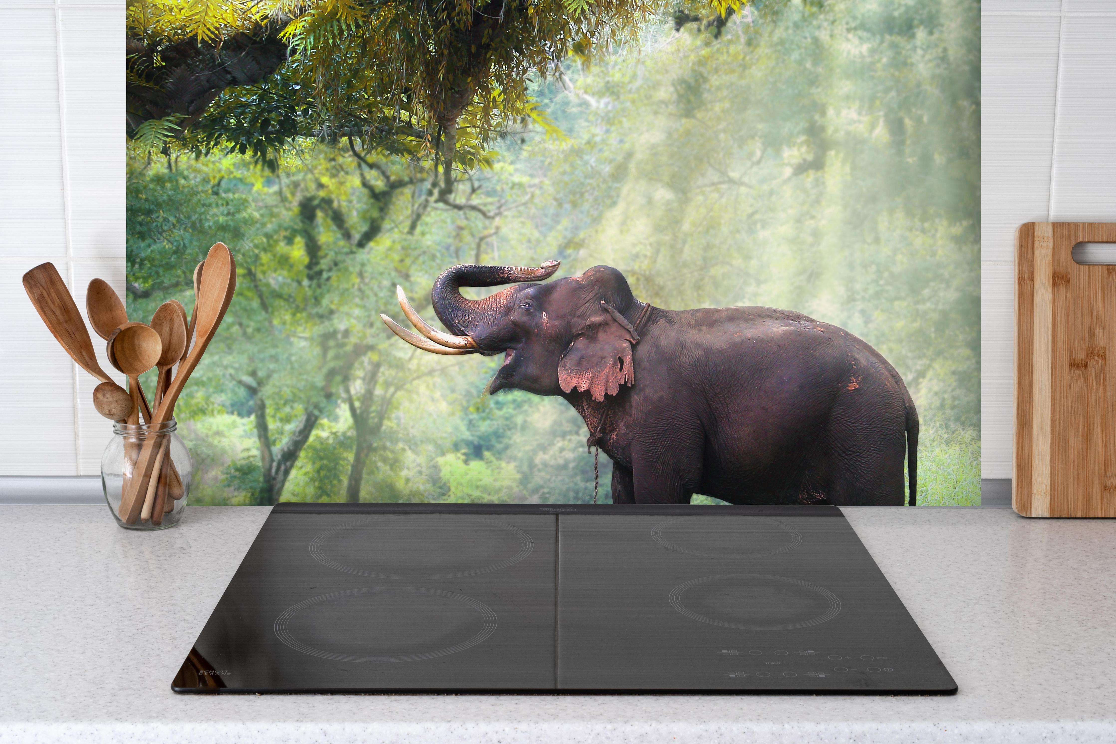 Spritzschutz - wilde Elefanten im Wald von Kanchanaburi hinter einem Cerankochfeld zwischen Holz-Kochutensilien