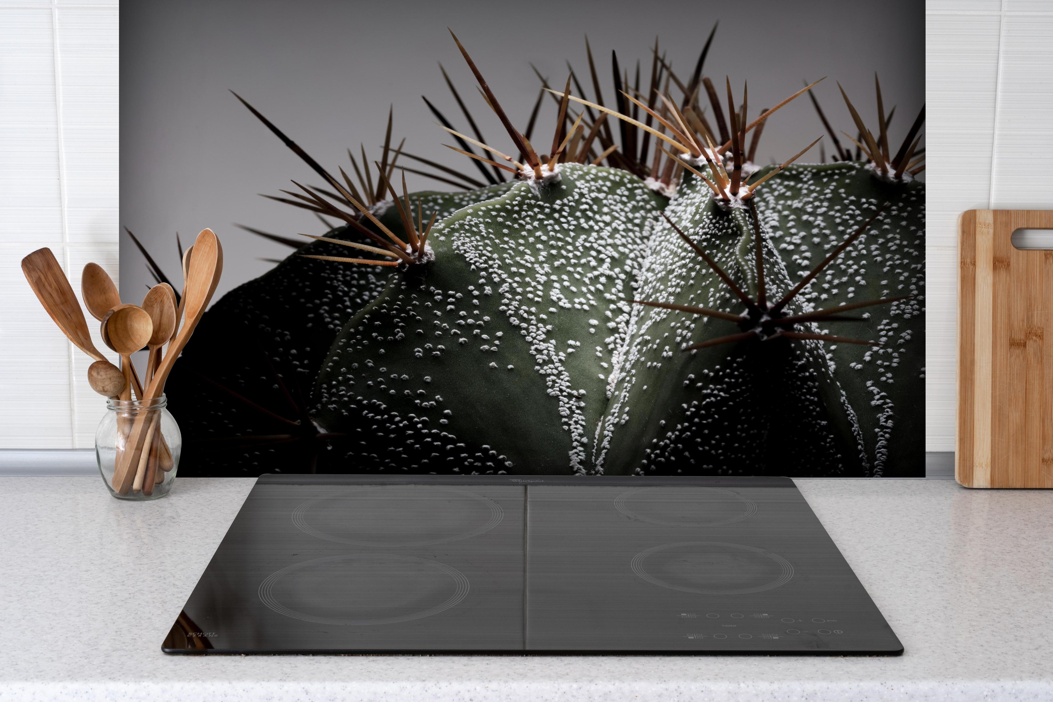Spritzschutz - Stacheliger Sternenkaktus hinter einem Cerankochfeld zwischen Holz-Kochutensilien