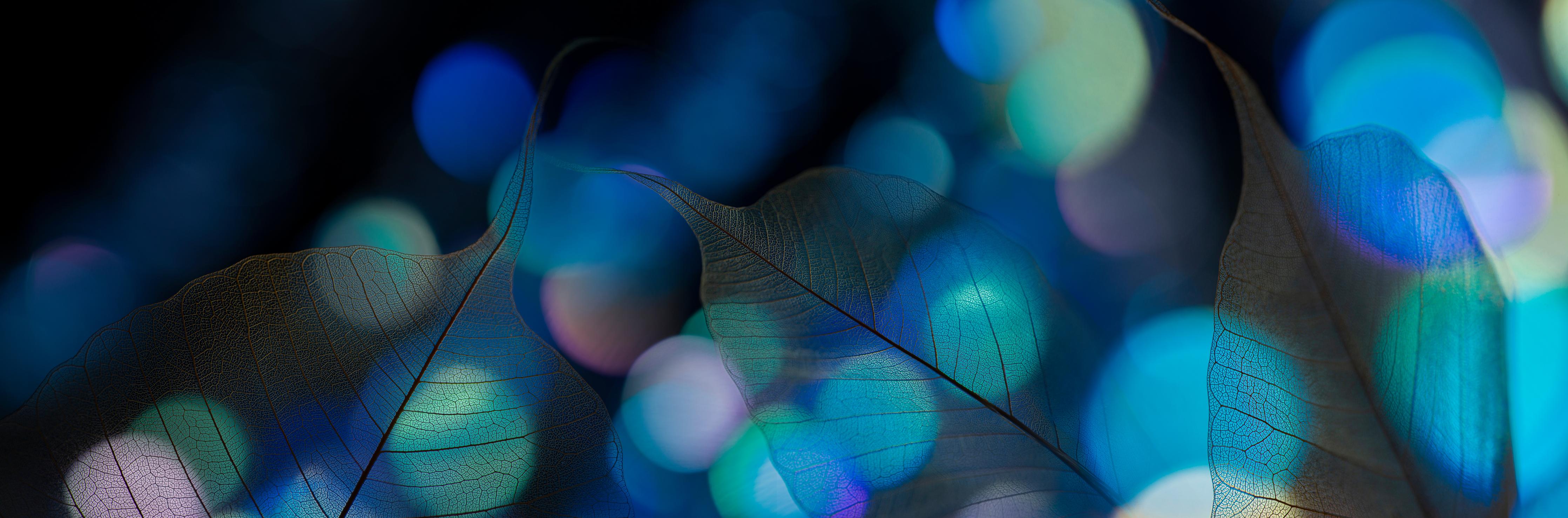 Spritzschutz-Strahlende Blattstruktur mit blauem Licht
