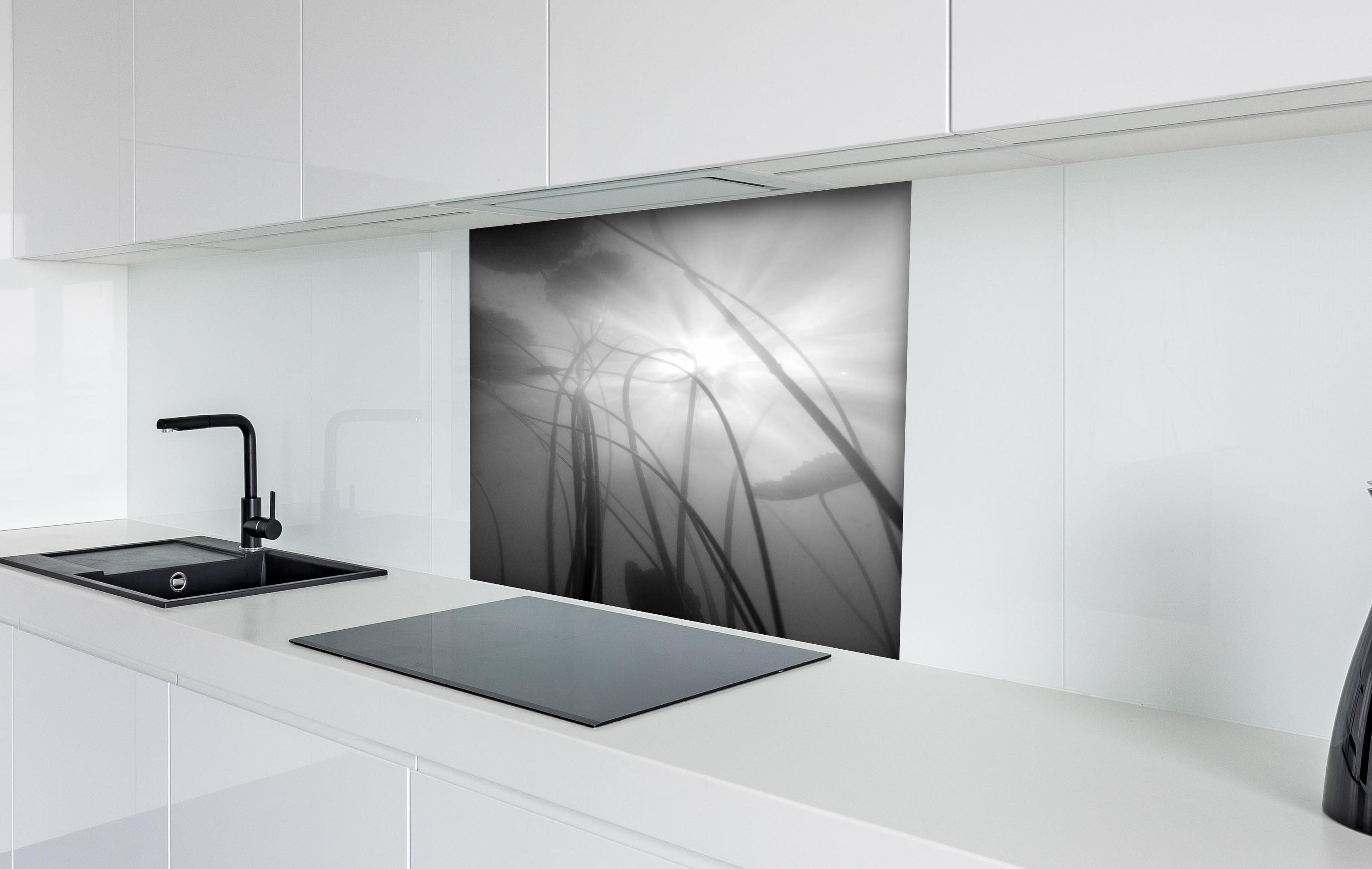 Spritzschutz - Tranquile Wasserlilien in Nebel und Monochrom hinter einem Cerankochfeld zwischen Holz-Kochutensilien