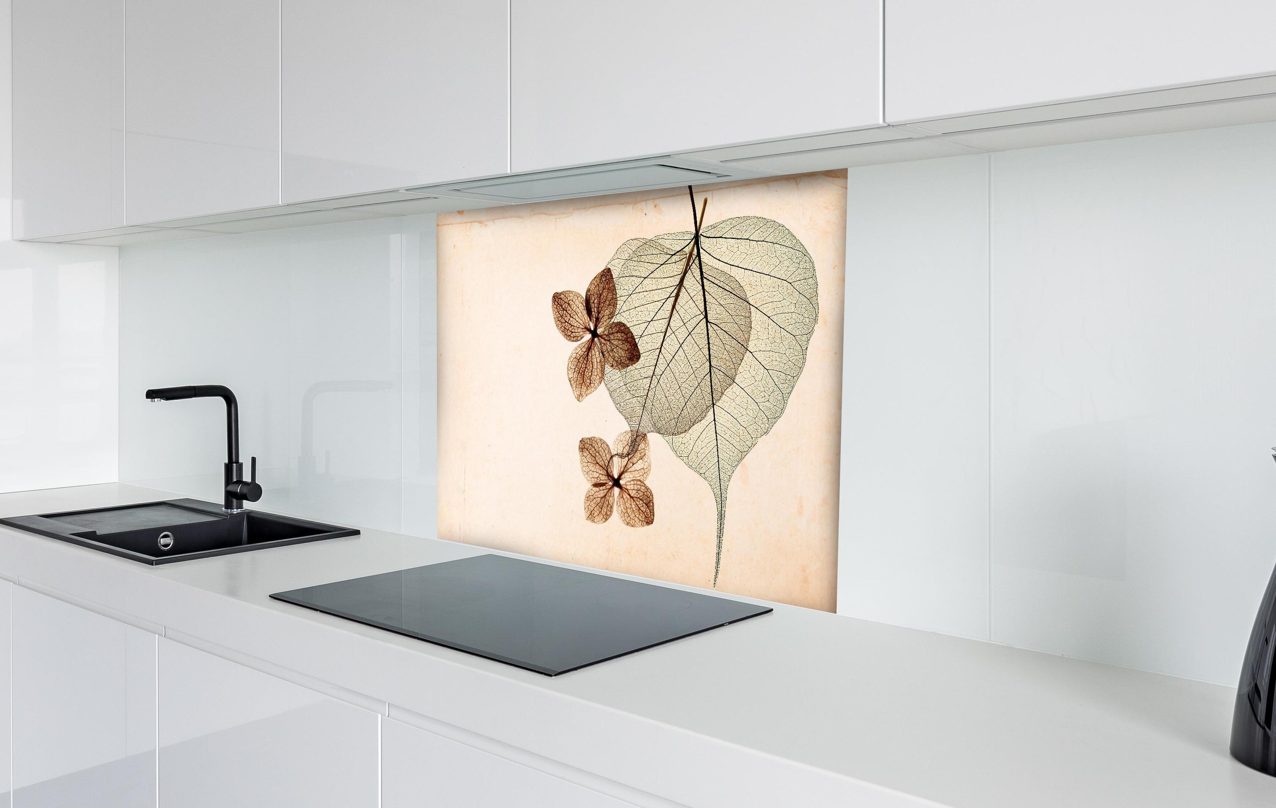 Spritzschutz - Transparentes Blatt mit sichtbaren Adern hinter einem Cerankochfeld zwischen Holz-Kochutensilien