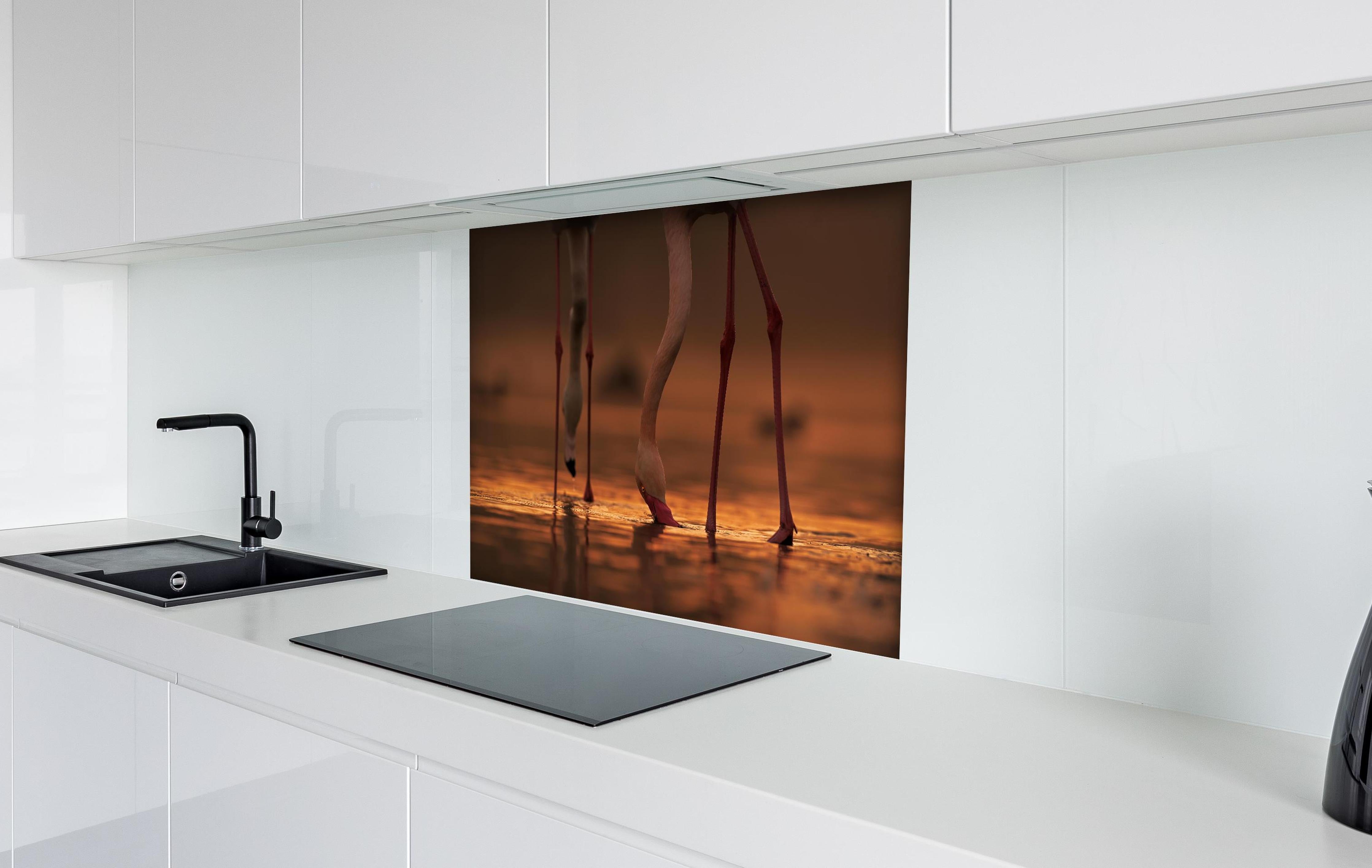 Spritzschutz - Trinkende Flamingos hinter einem Cerankochfeld zwischen Holz-Kochutensilien