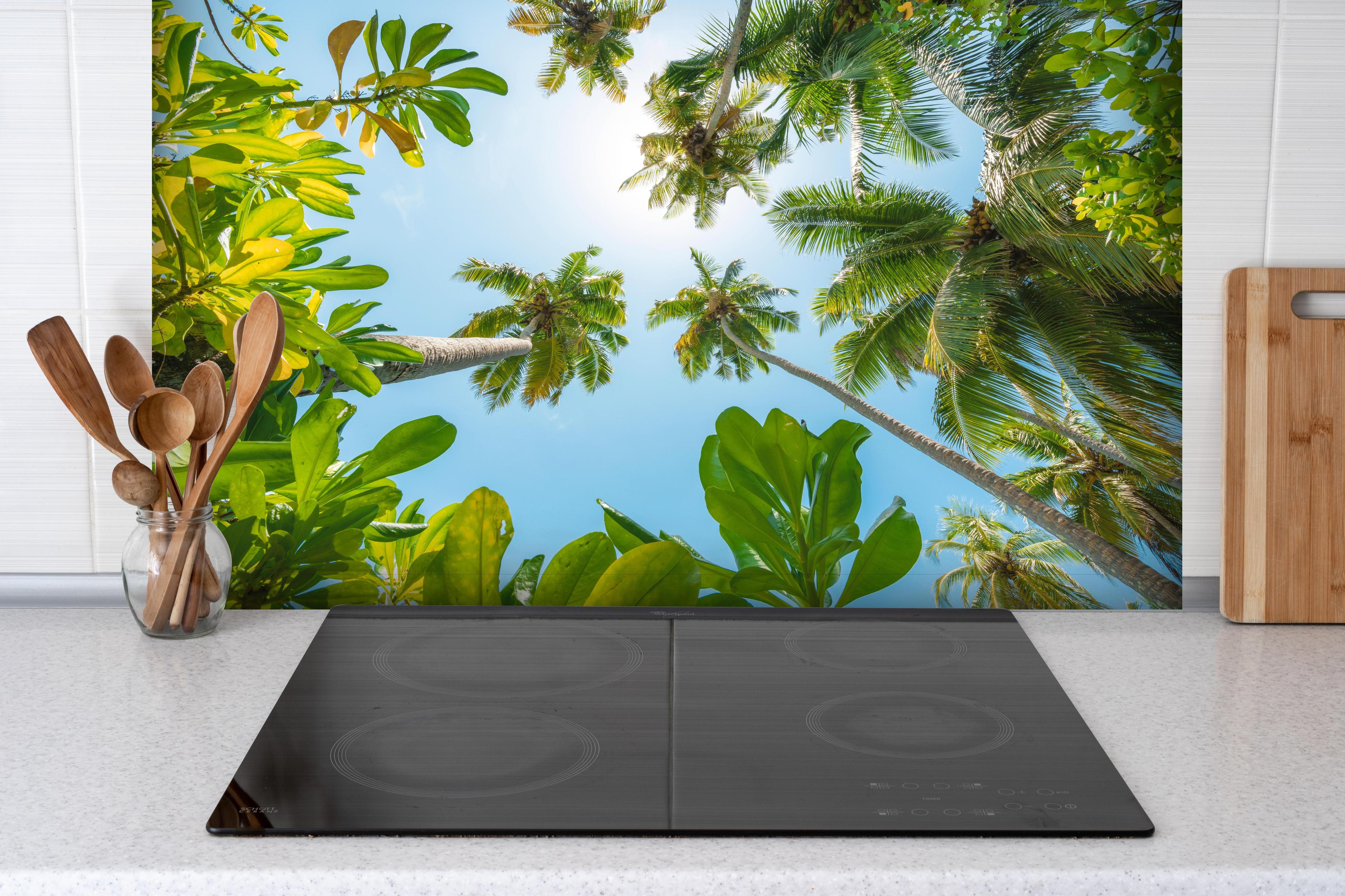 Spritzschutz - Tropische Palmen von unten hinter einem Cerankochfeld zwischen Holz-Kochutensilien