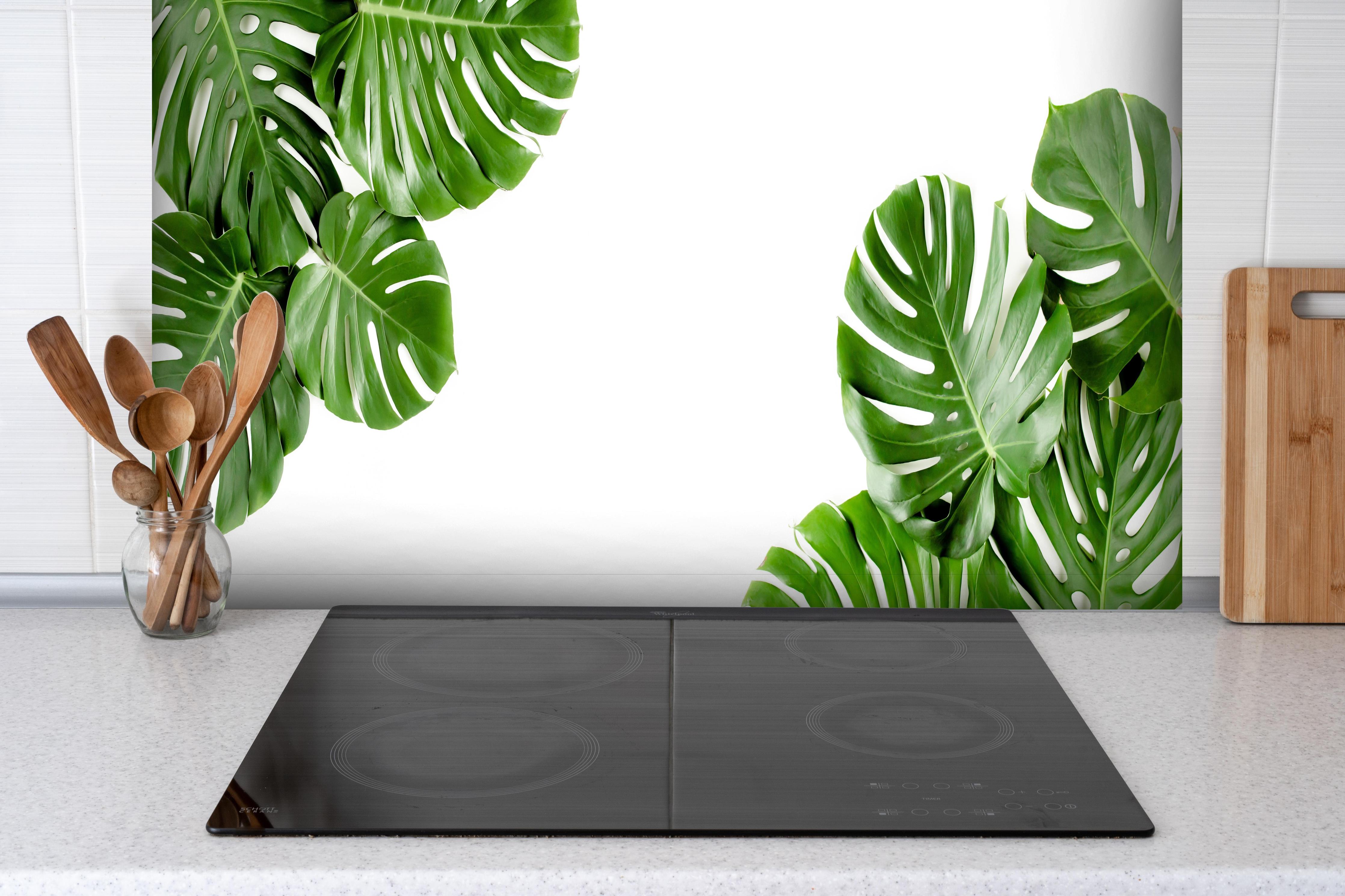 Spritzschutz - Tropische Palmenblätter auf weißem Hintergrund hinter einem Cerankochfeld zwischen Holz-Kochutensilien