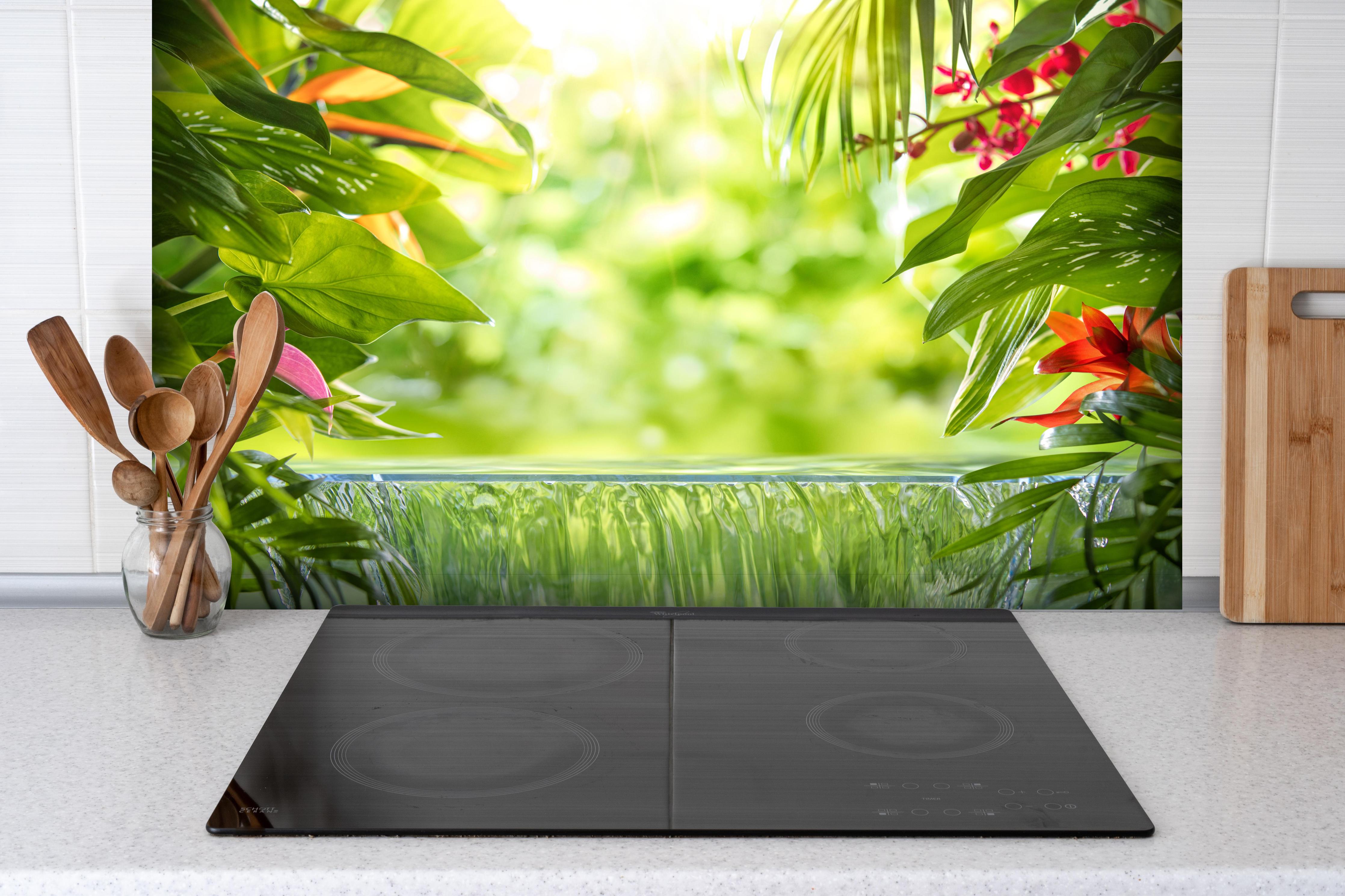 Spritzschutz - Tropische Palmenblätter im Amazonas hinter einem Cerankochfeld zwischen Holz-Kochutensilien