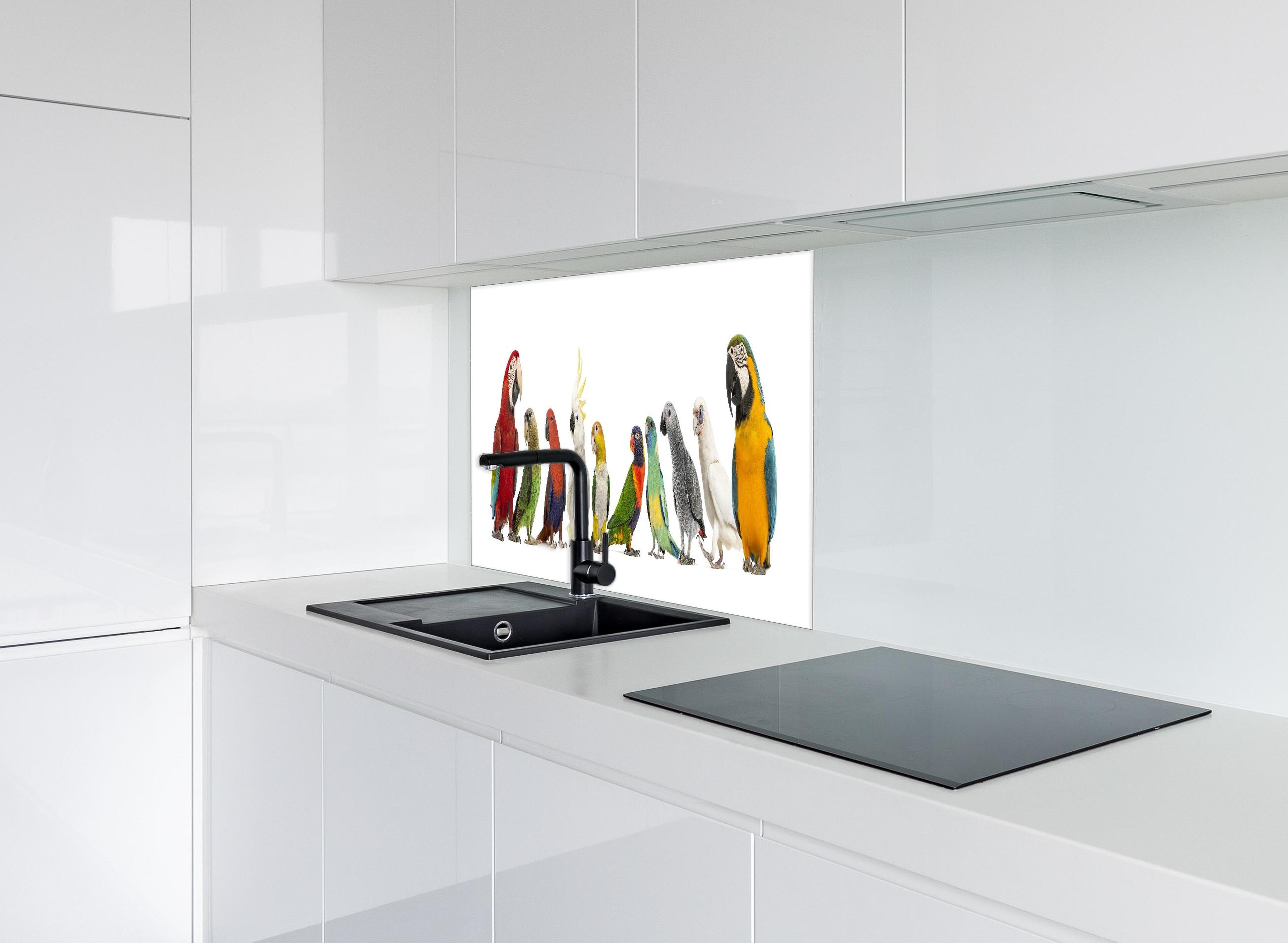 Spritzschutz - Tropische Papageien - Exotisch hinter einem Cerankochfeld zwischen Holz-Kochutensilien