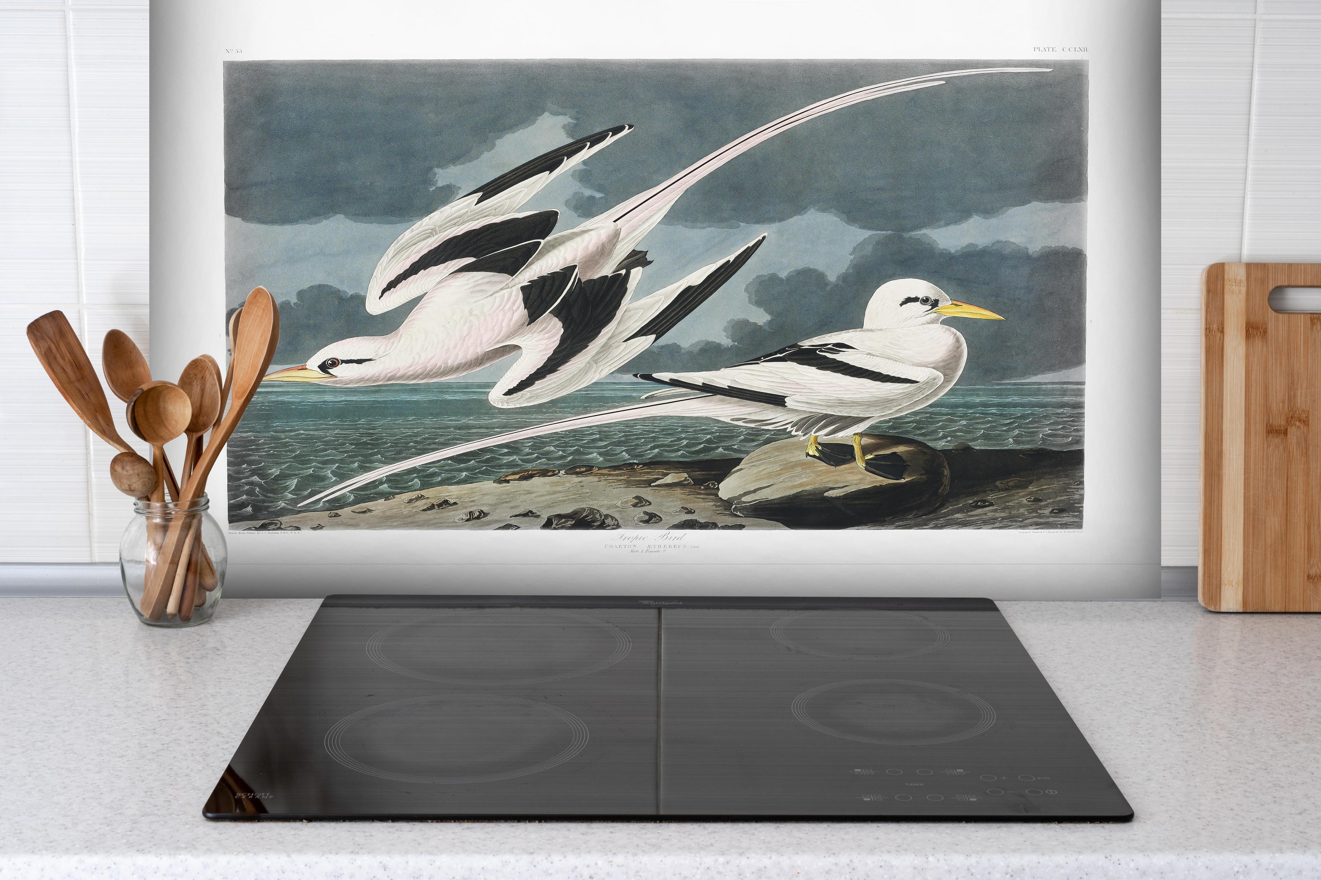 Spritzschutz - Tropische Vögel - John James Audubon hinter einem Cerankochfeld zwischen Holz-Kochutensilien