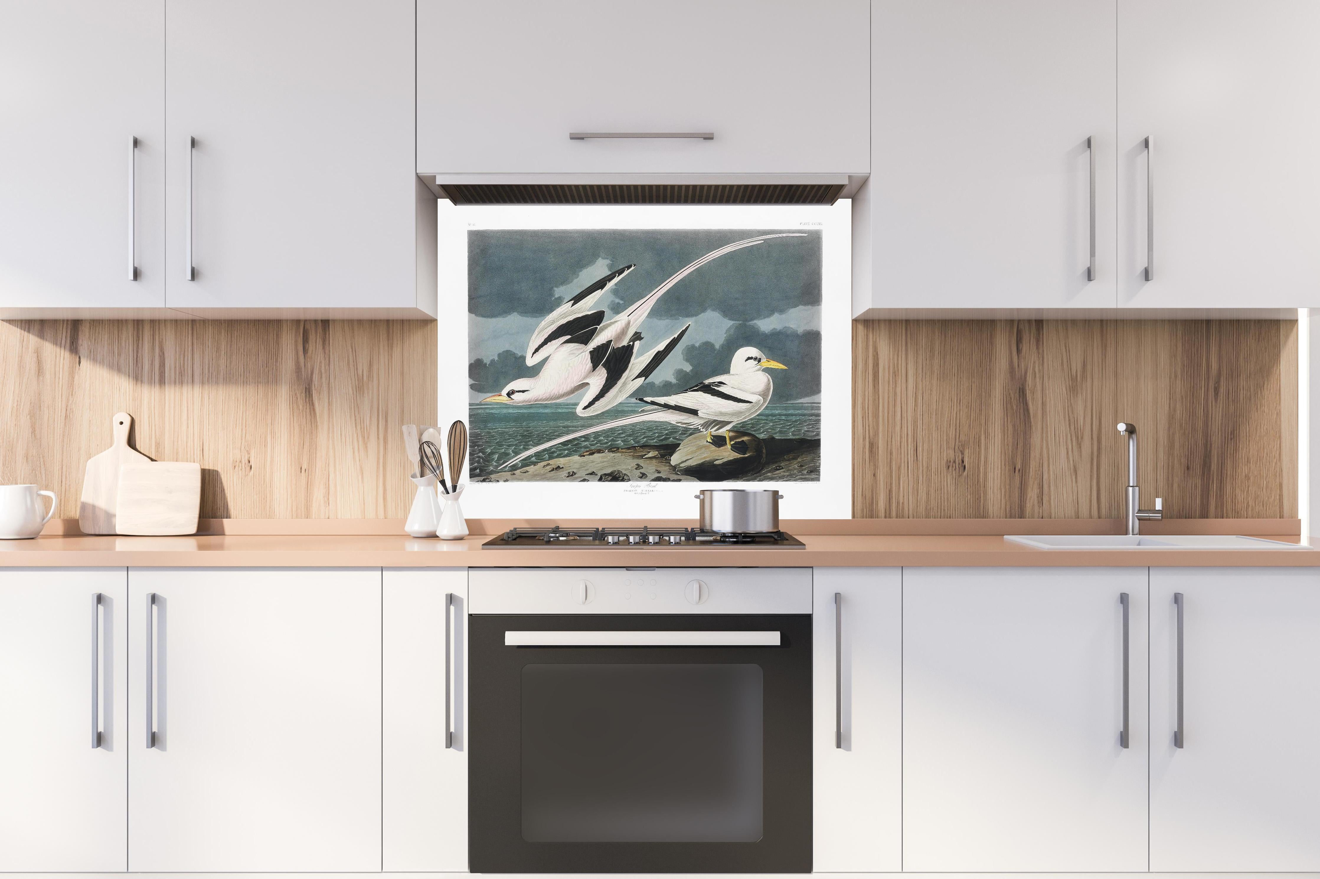 Spritzschutz - Tropische Vögel - John James Audubon hinter einem Cerankochfeld zwischen Holz-Kochutensilien