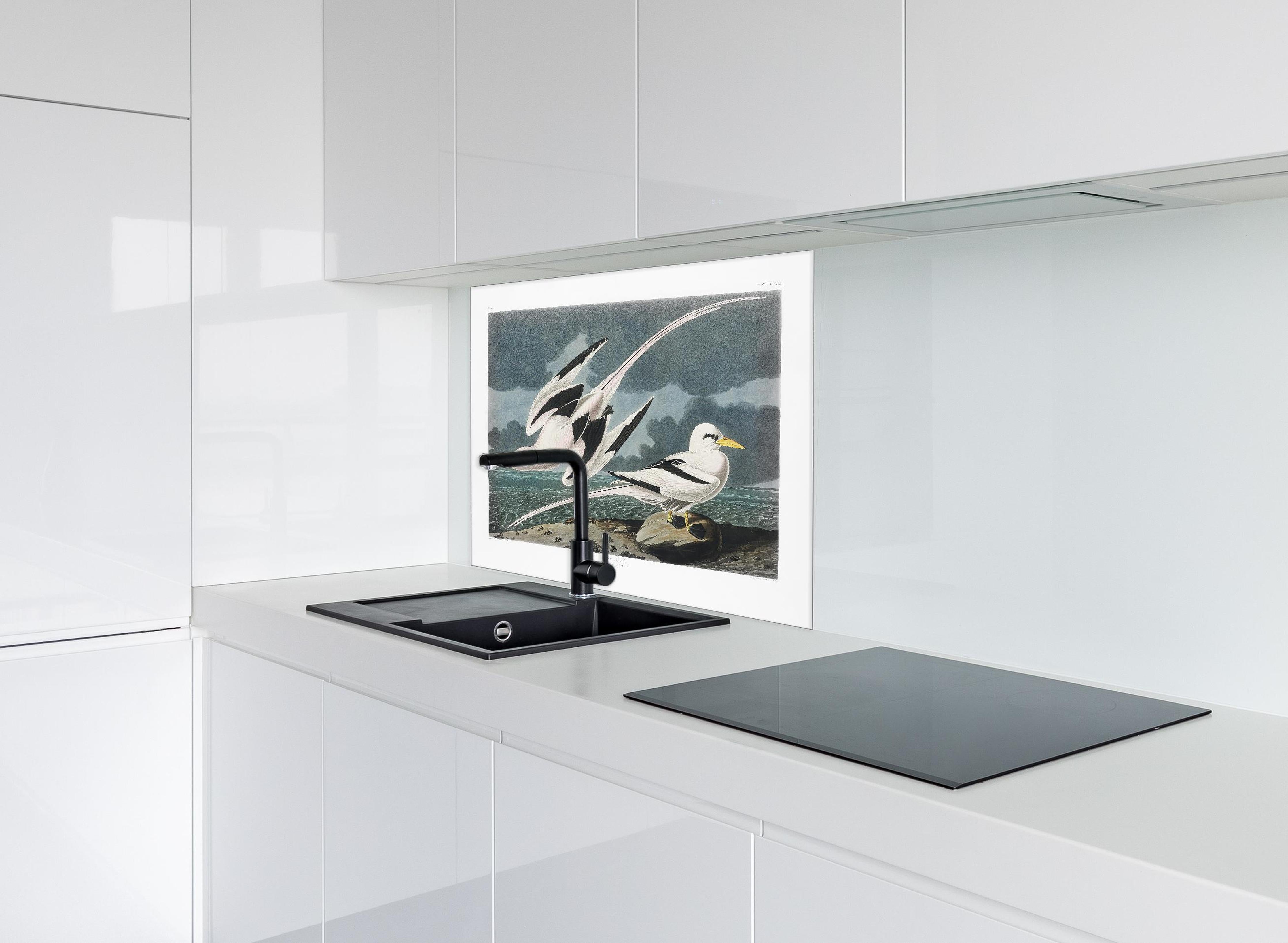 Spritzschutz - Tropische Vögel - John James Audubon hinter einem Cerankochfeld zwischen Holz-Kochutensilien