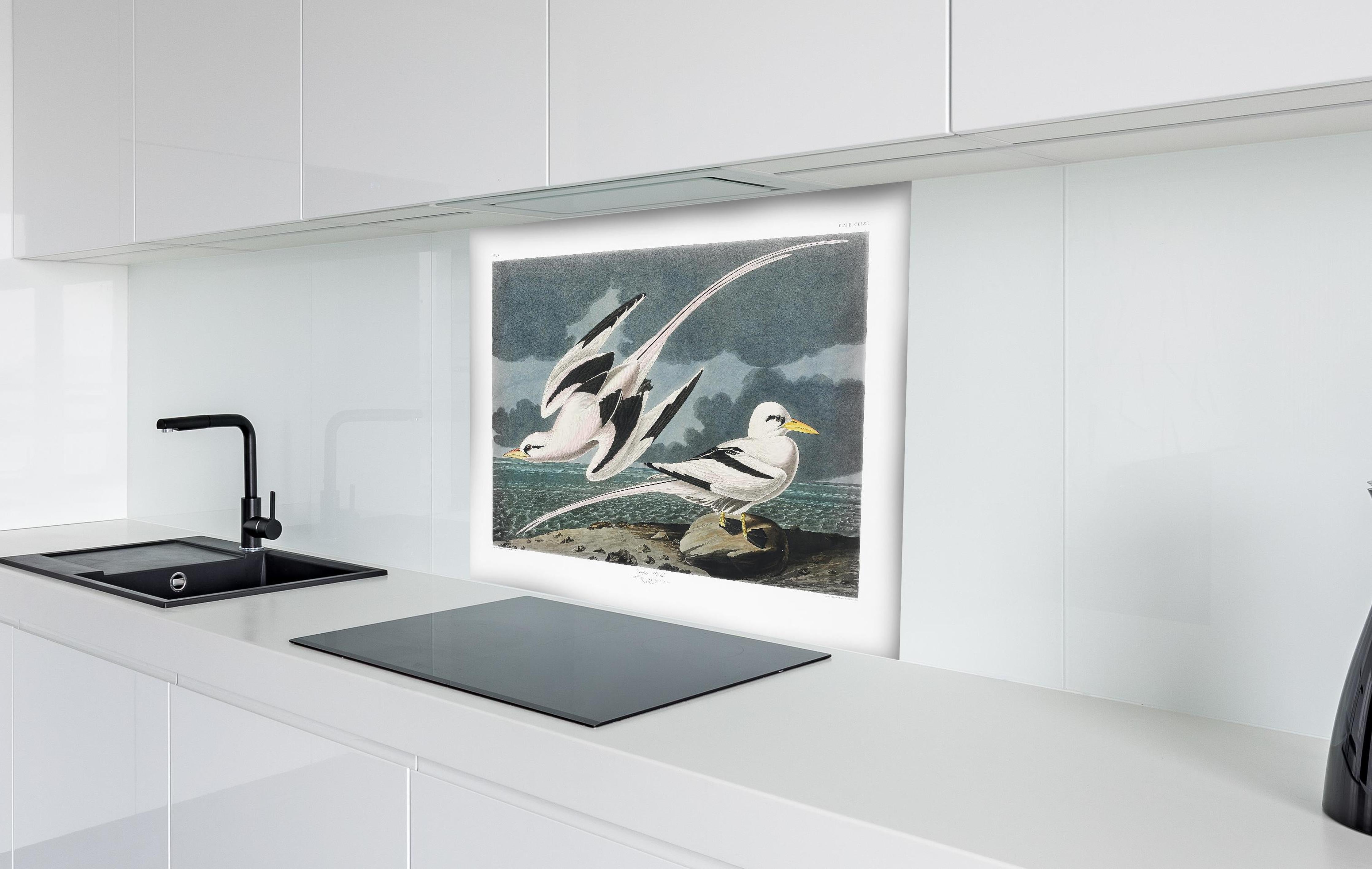 Spritzschutz - Tropische Vögel - John James Audubon hinter einem Cerankochfeld zwischen Holz-Kochutensilien