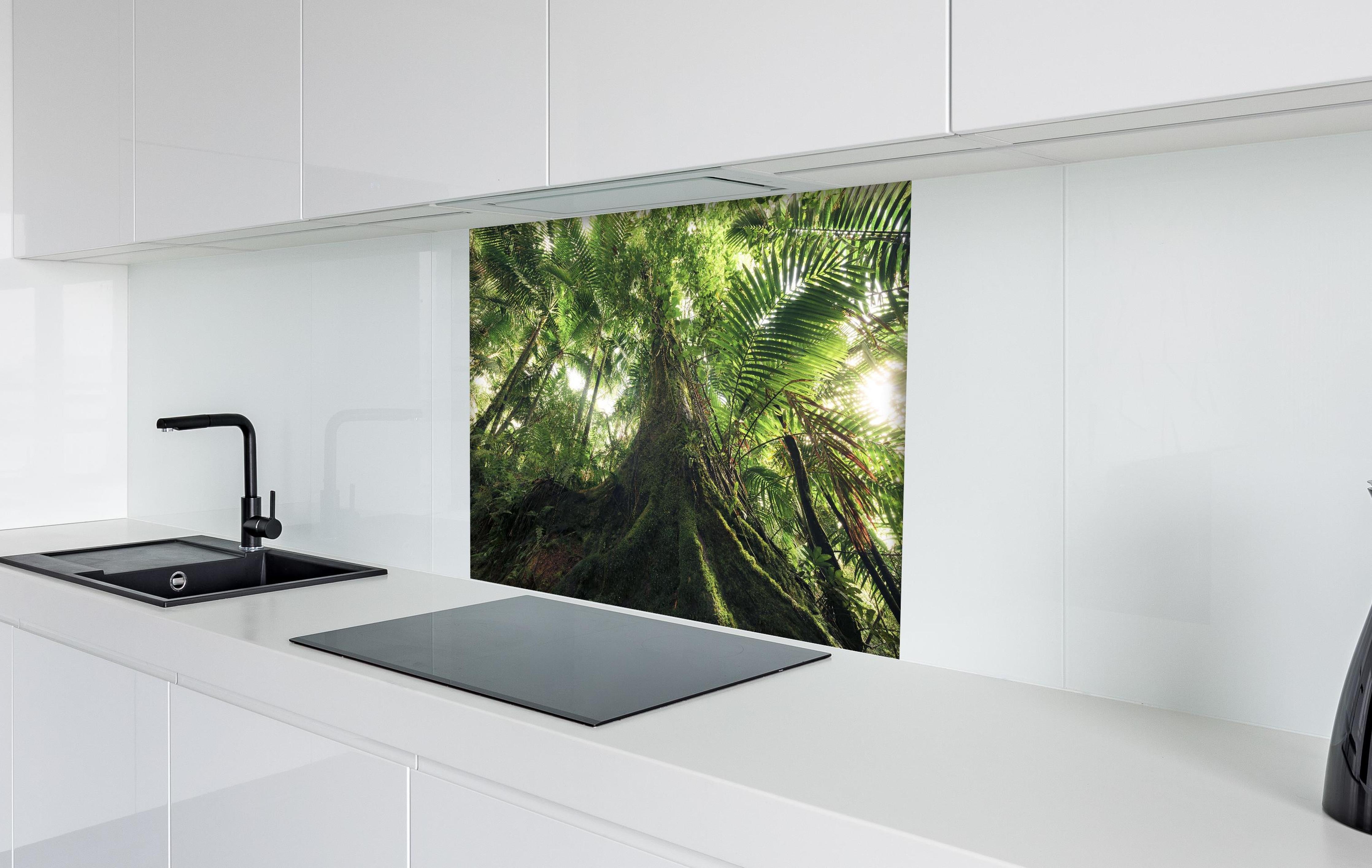 Spritzschutz - Tropischer Dschungel Wald hinter einem Cerankochfeld zwischen Holz-Kochutensilien