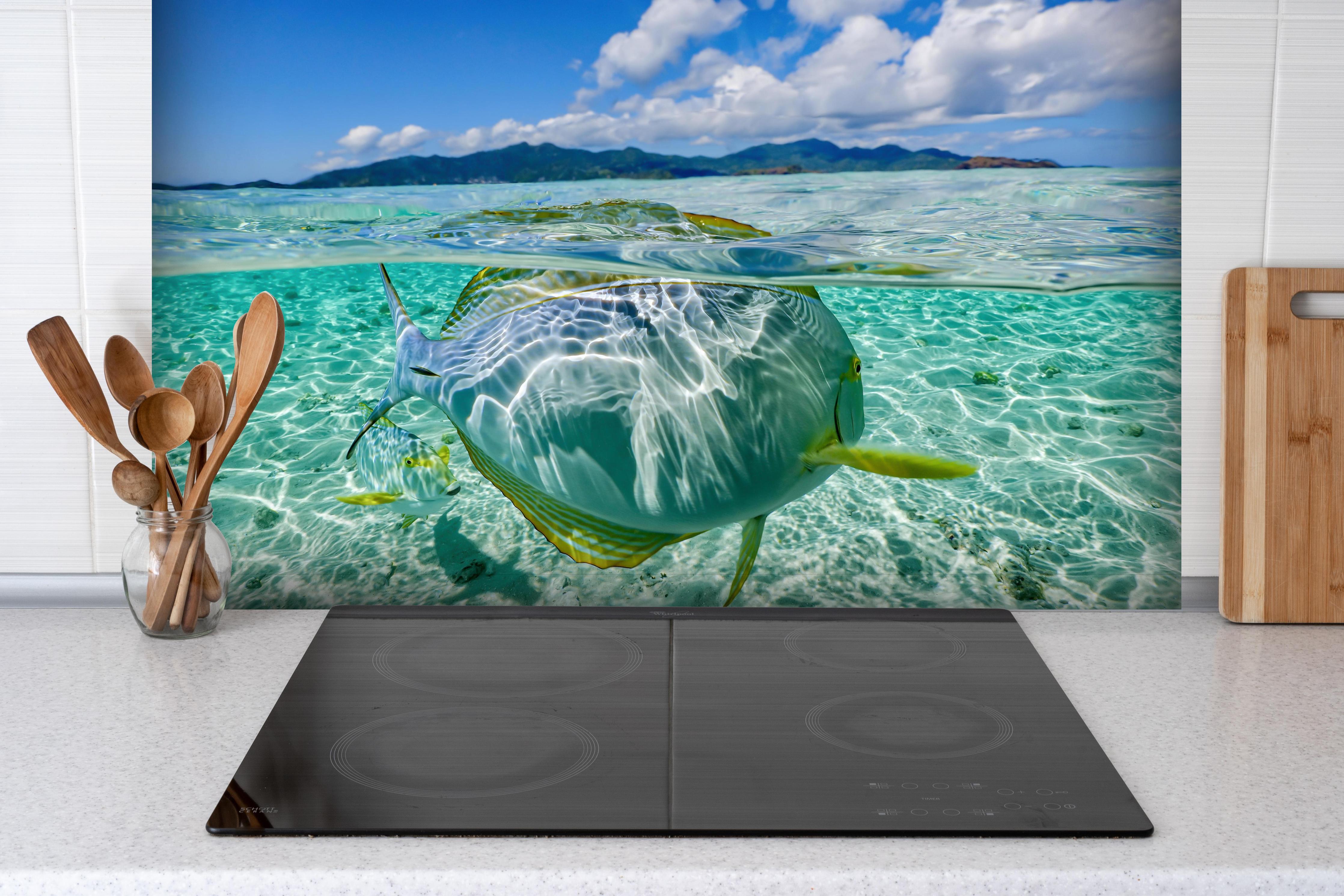 Spritzschutz - Tropischer Fisch - Unterwasserwelt hinter einem Cerankochfeld zwischen Holz-Kochutensilien