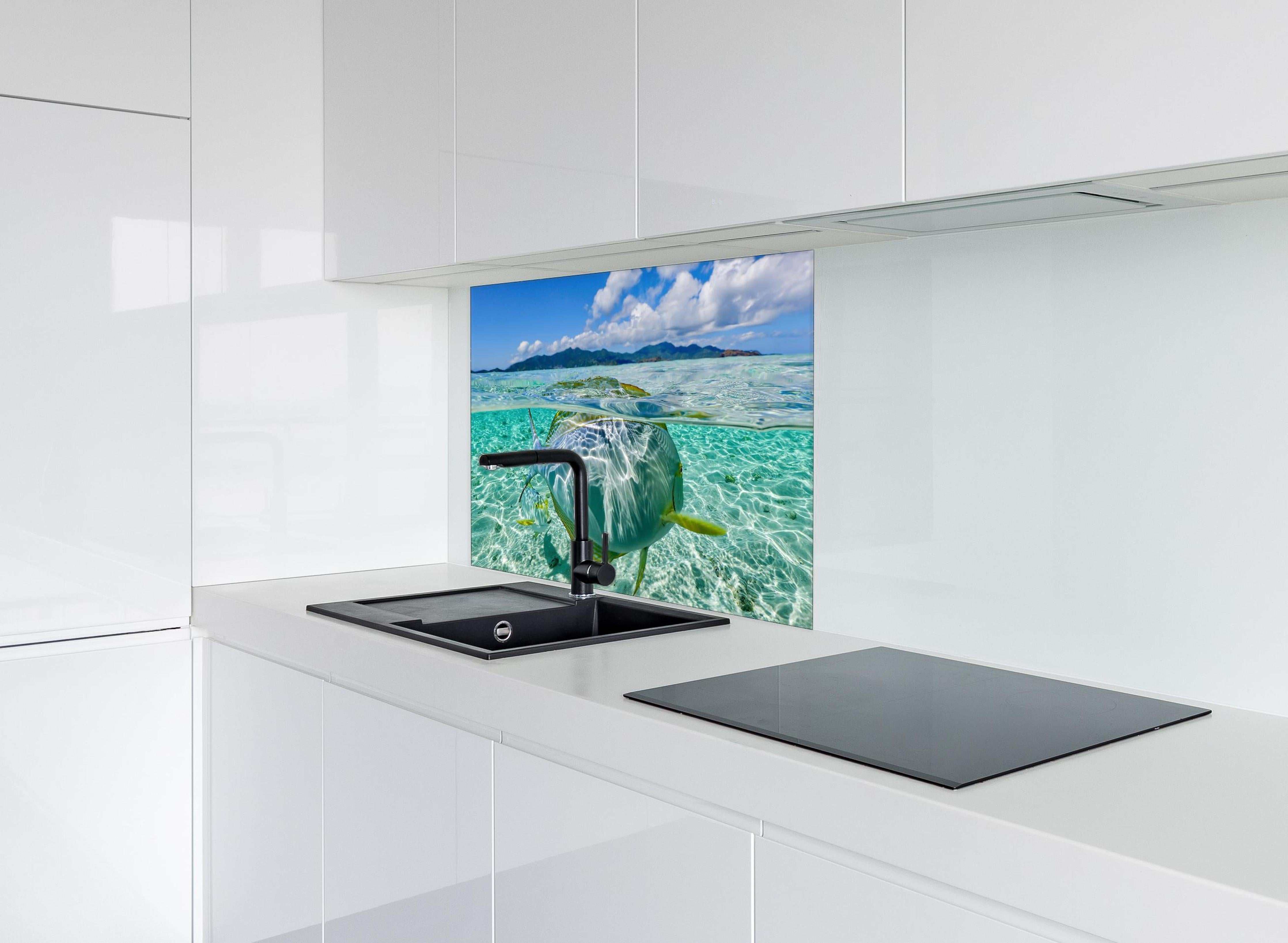 Spritzschutz - Tropischer Fisch - Unterwasserwelt hinter einem Cerankochfeld zwischen Holz-Kochutensilien