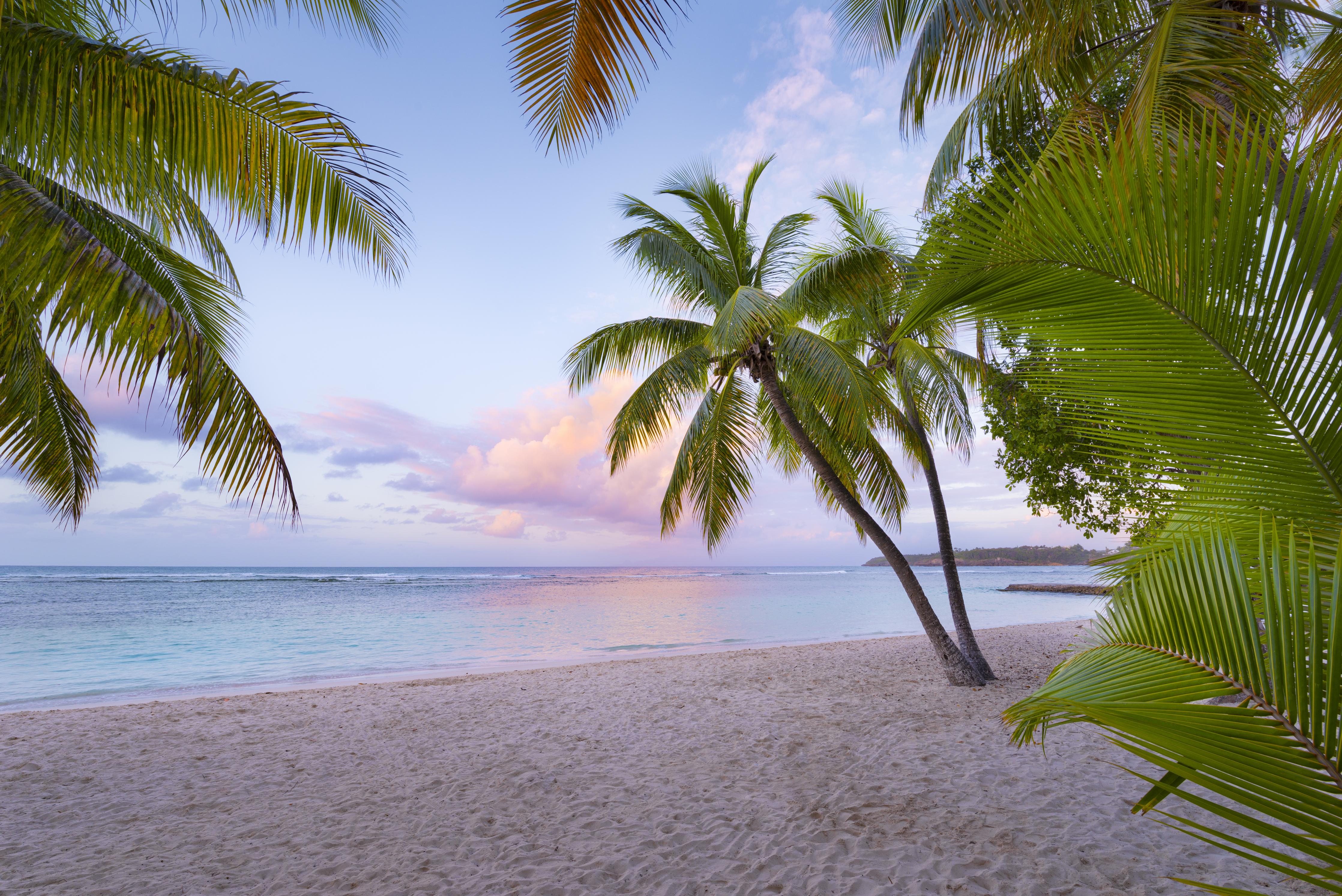 Spritzschutz-Tropischer Strand