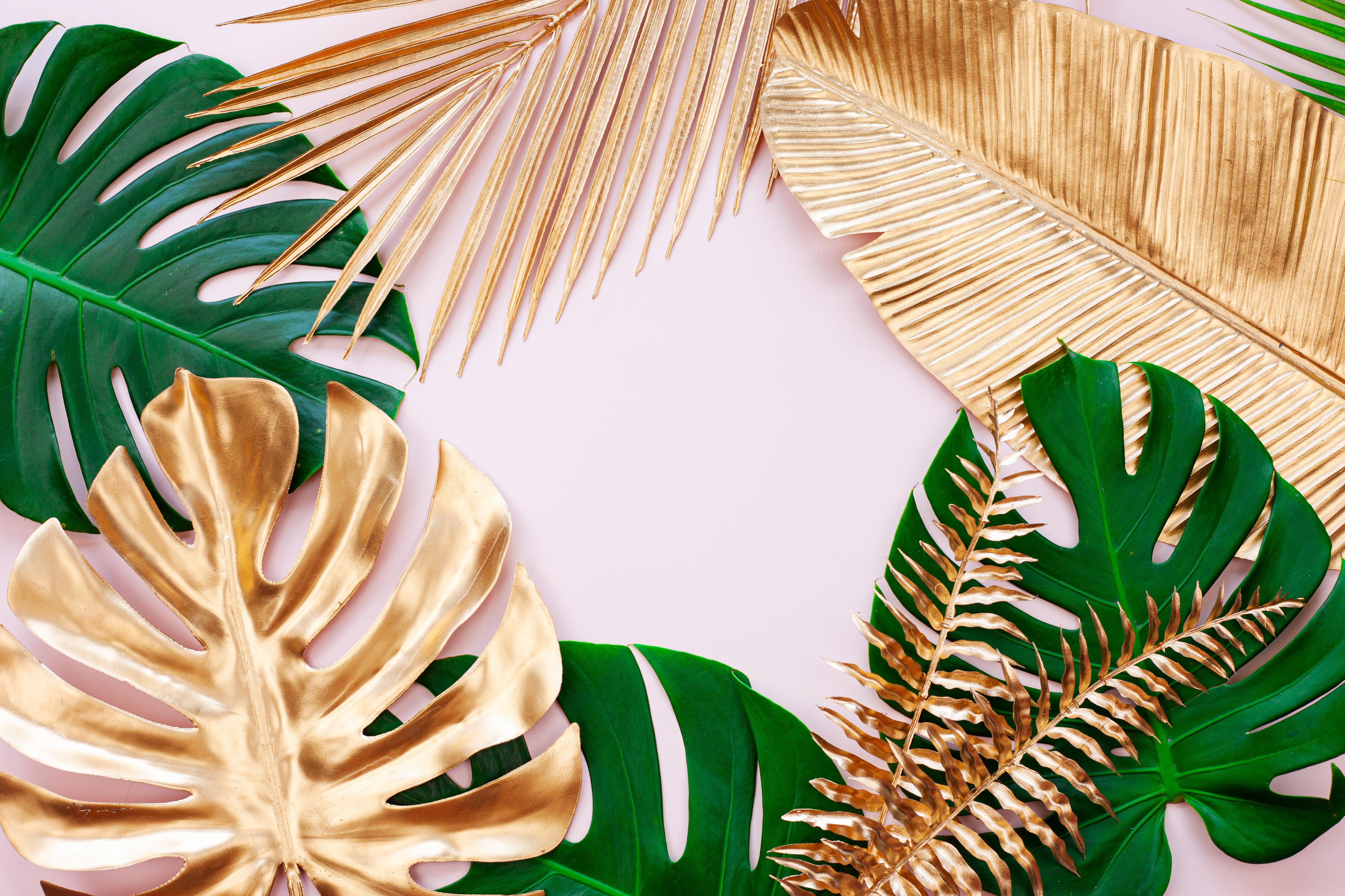 Spritzschutz-Tropisches Blätter Design - Floral