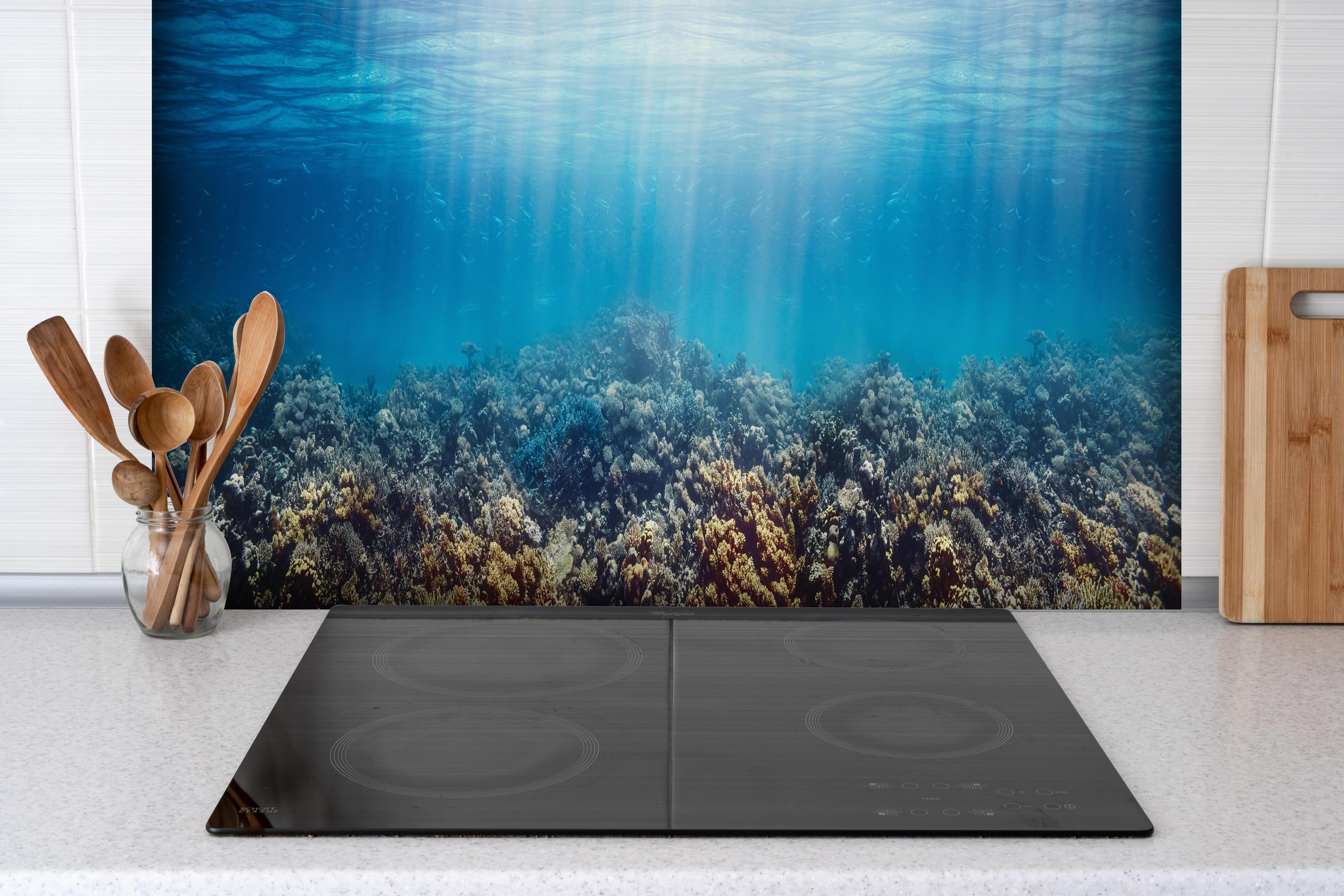 Spritzschutz - Unterwasser-Korallenriff im Roten Meer hinter einem Cerankochfeld zwischen Holz-Kochutensilien