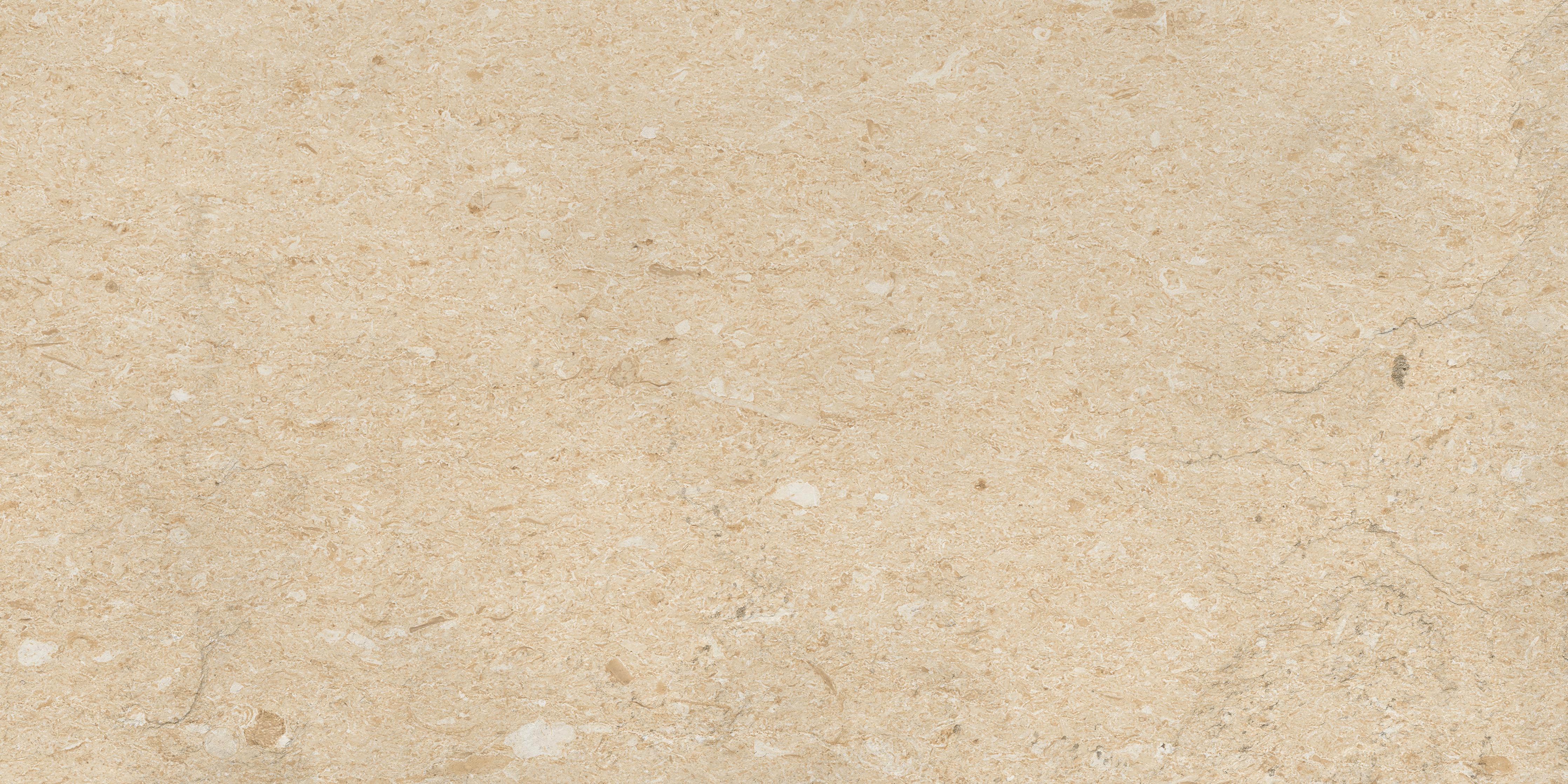 Spritzschutz-Verarbeitete holz Textur