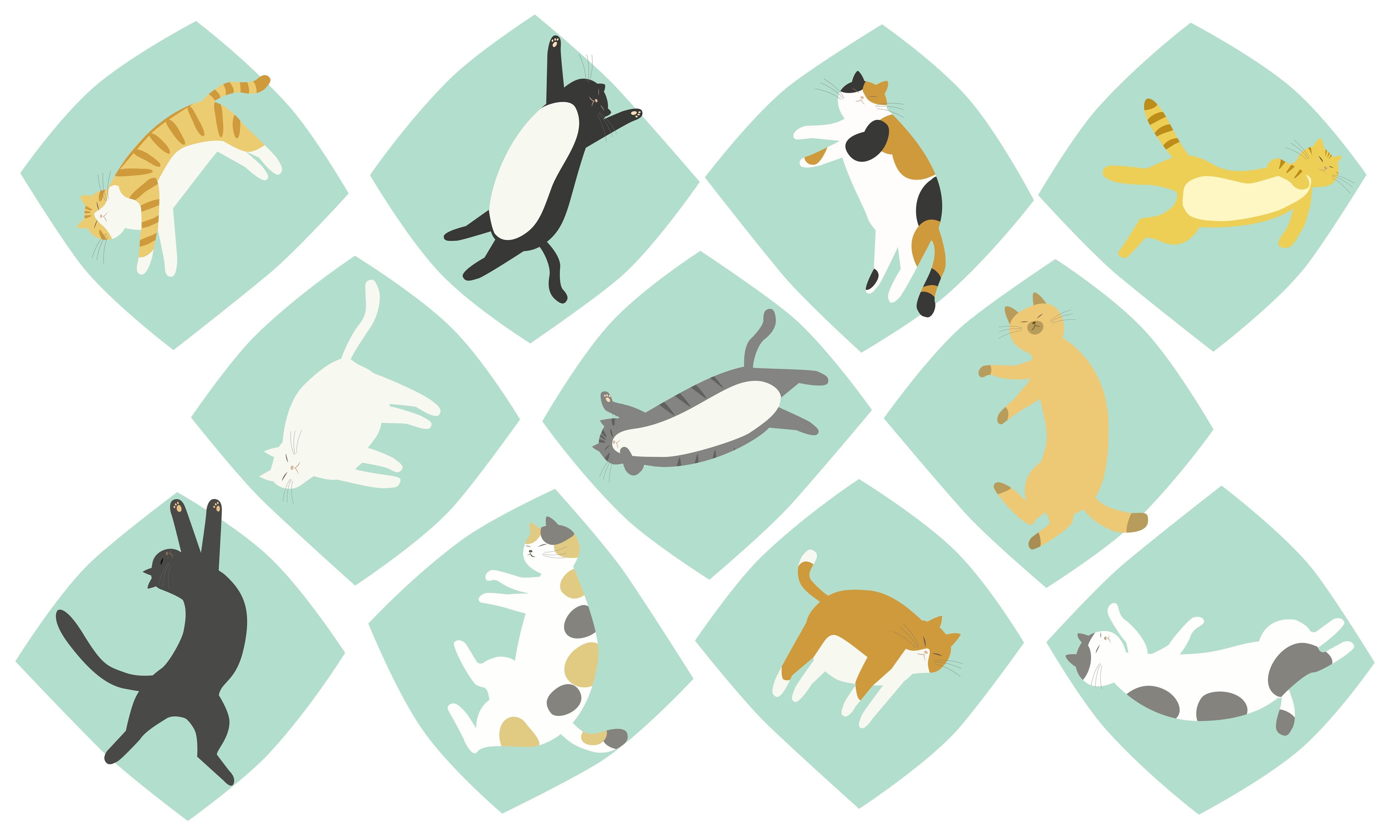 Spritzschutz-Verspielte Tierillustrationen in Pastellfarben