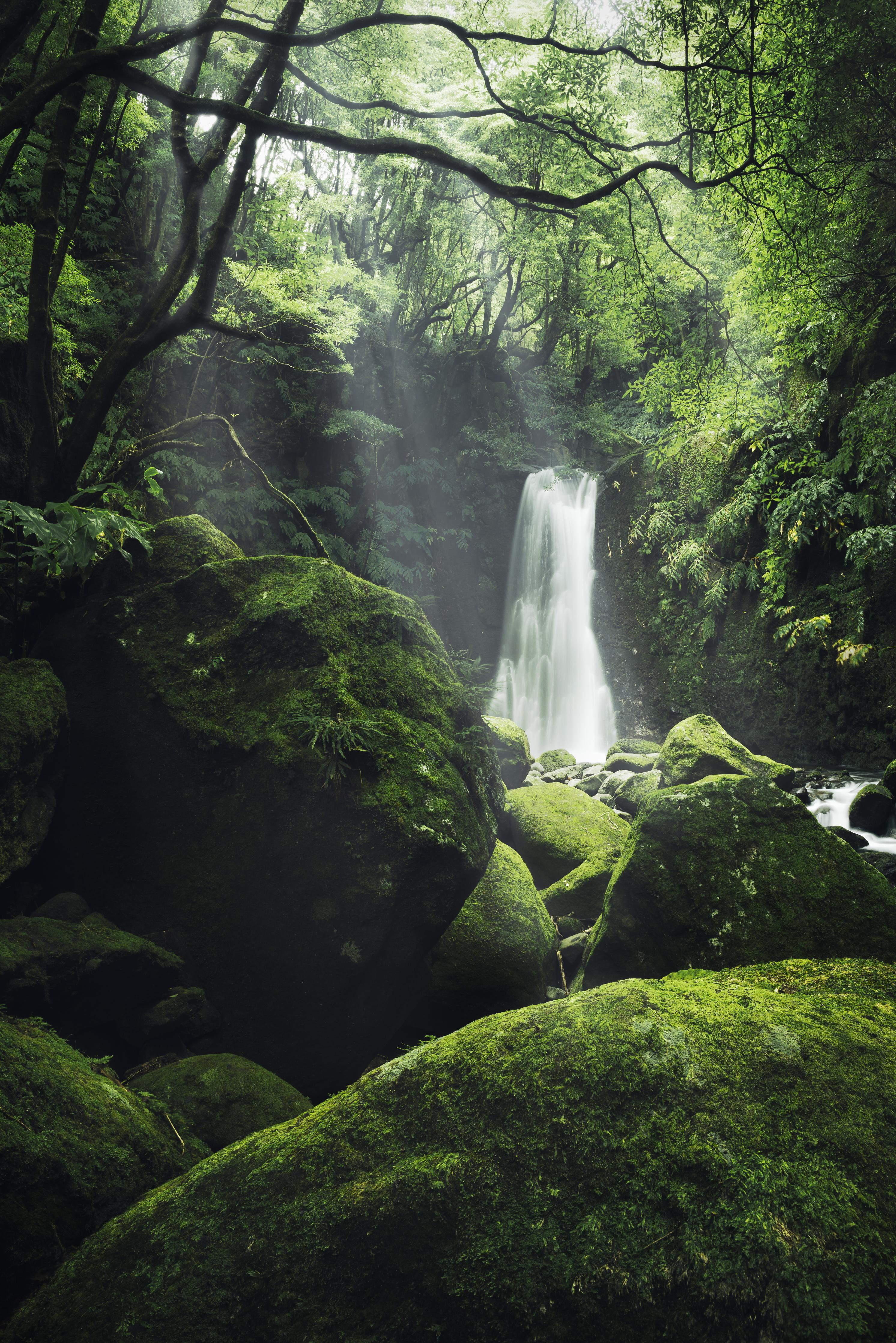 Spritzschutz-Verträumter Wasserfall im grünen Urwald