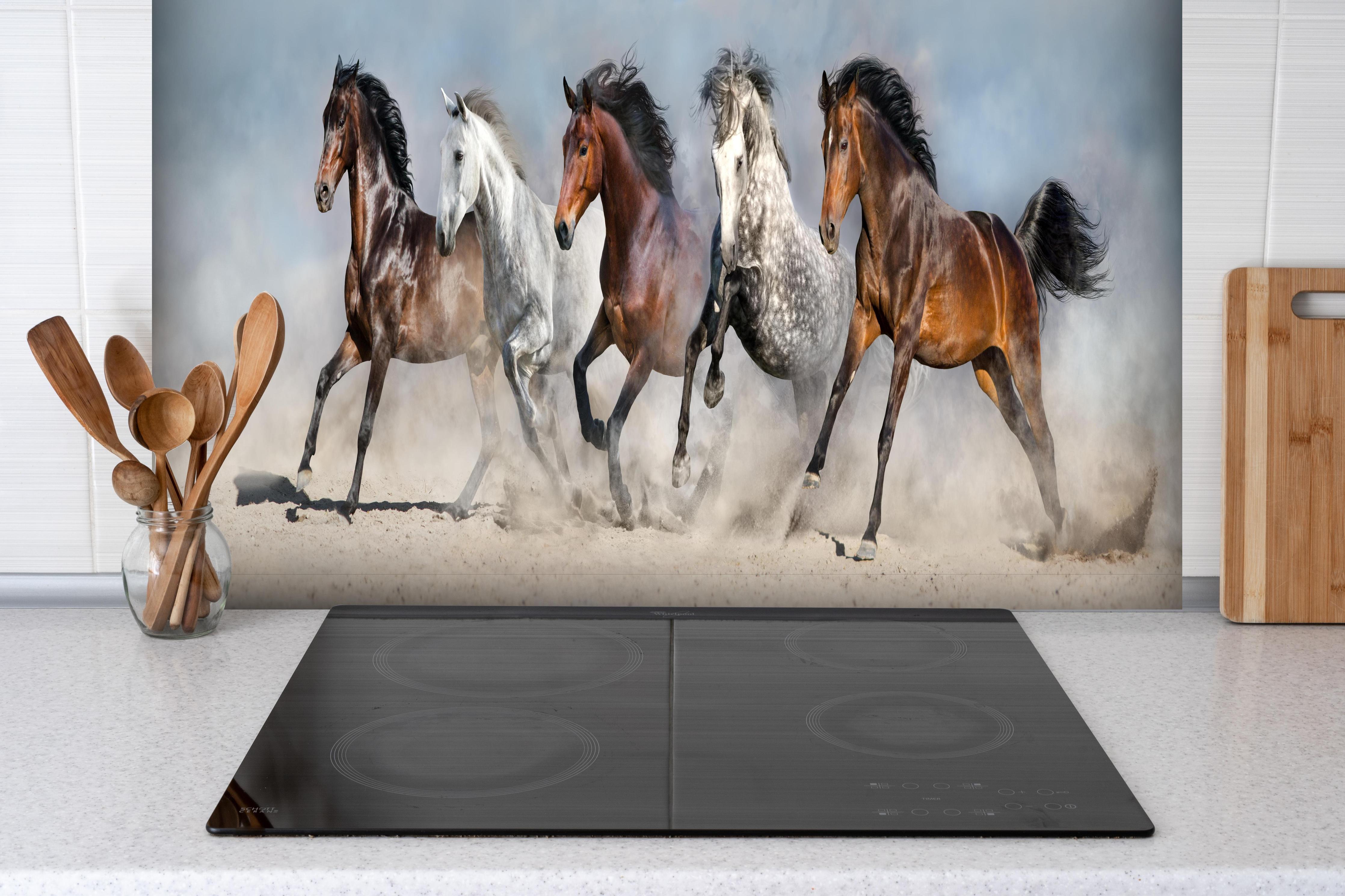 Spritzschutz - Vier Pferde rennen Sandwolke Himmel hinter einem Cerankochfeld zwischen Holz-Kochutensilien