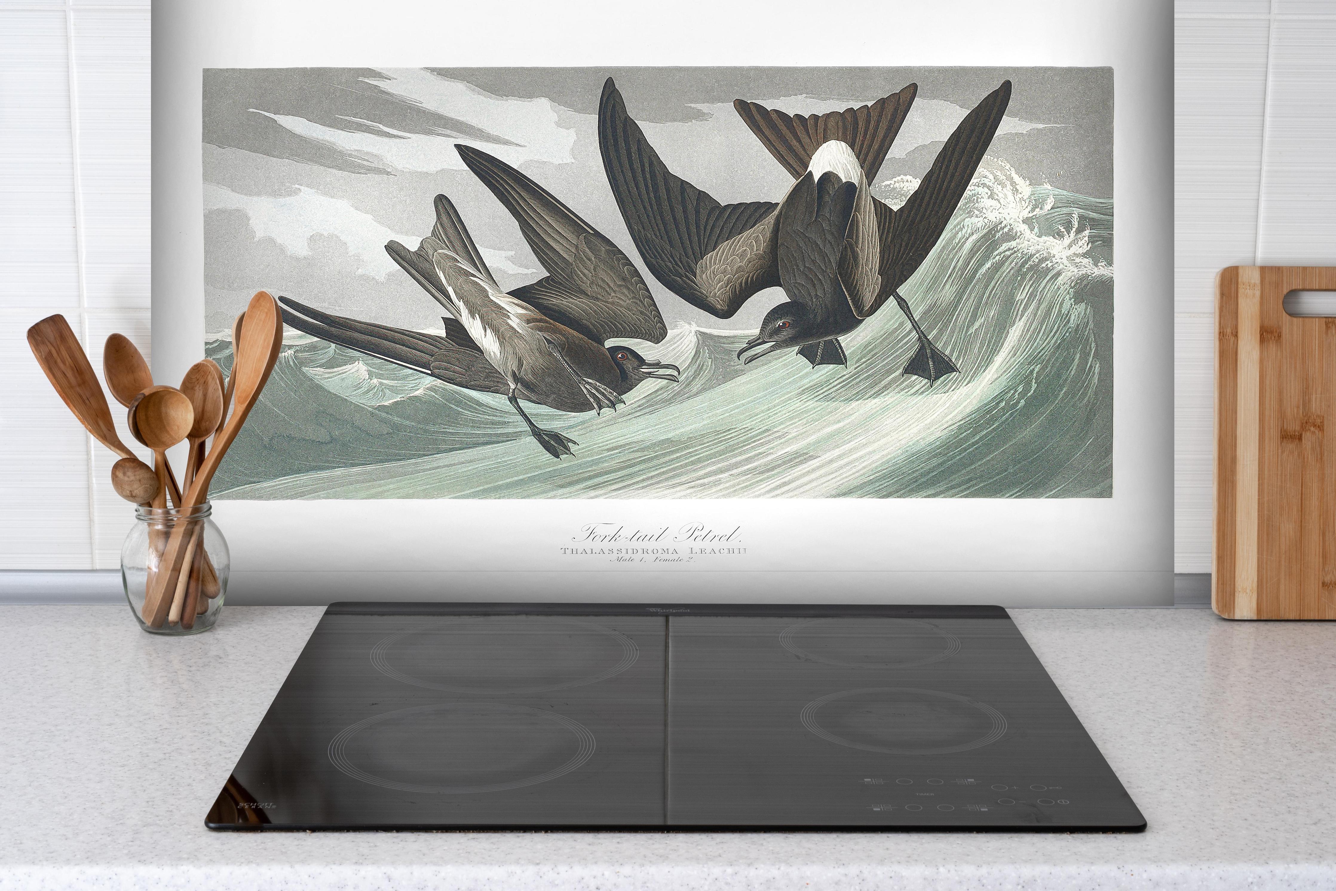 Spritzschutz - Vögel mitten im Meer - Robert Havell hinter einem Cerankochfeld zwischen Holz-Kochutensilien