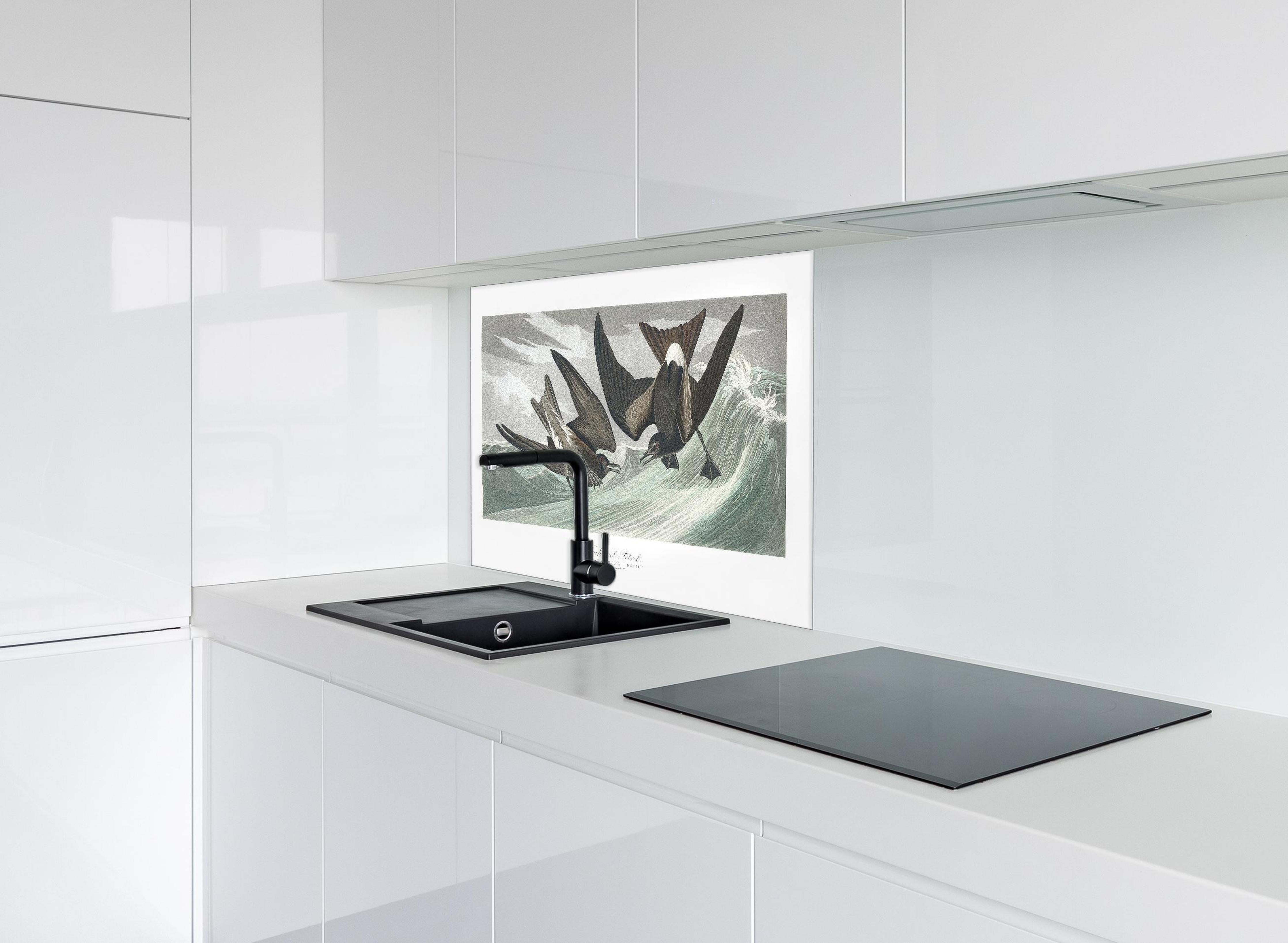 Spritzschutz - Vögel mitten im Meer - Robert Havell hinter einem Cerankochfeld zwischen Holz-Kochutensilien