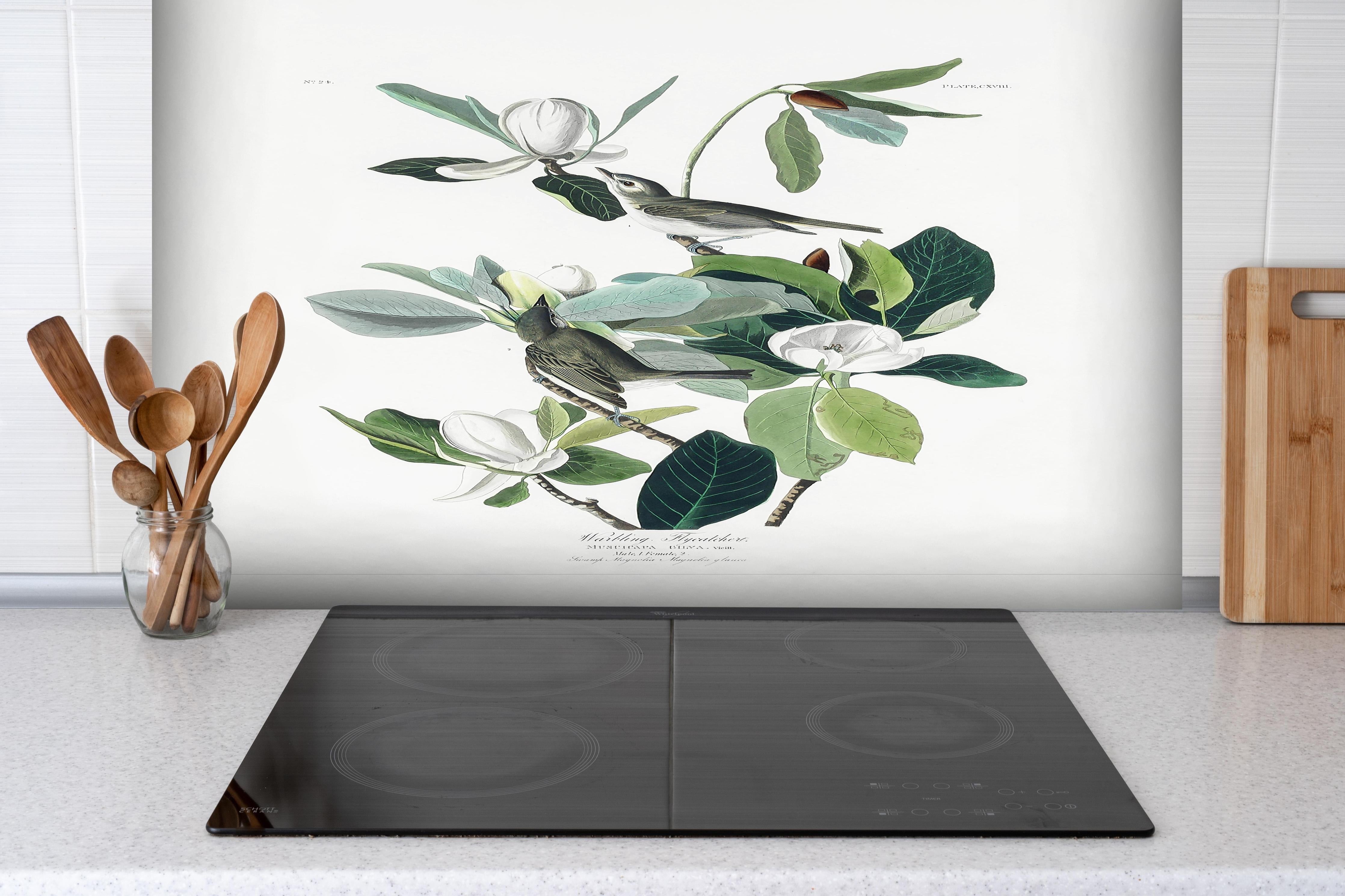 Spritzschutz - Vogel Gemälde - John James Audubon hinter einem Cerankochfeld zwischen Holz-Kochutensilien